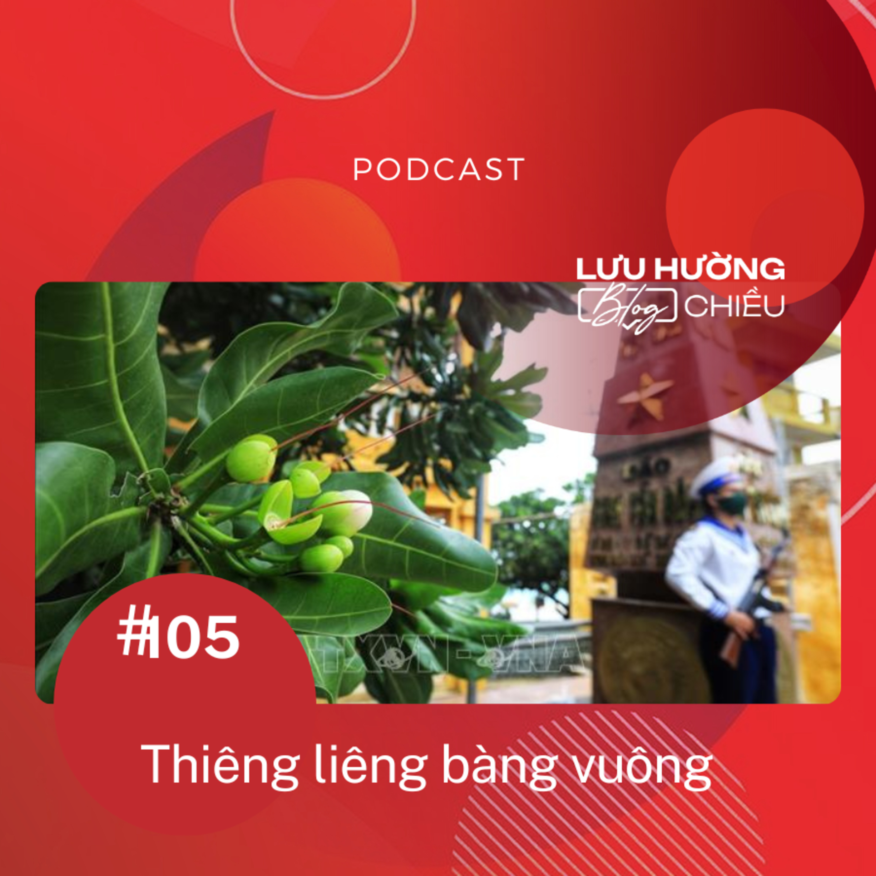 Thiêng liêng bàng vuông episode artwork