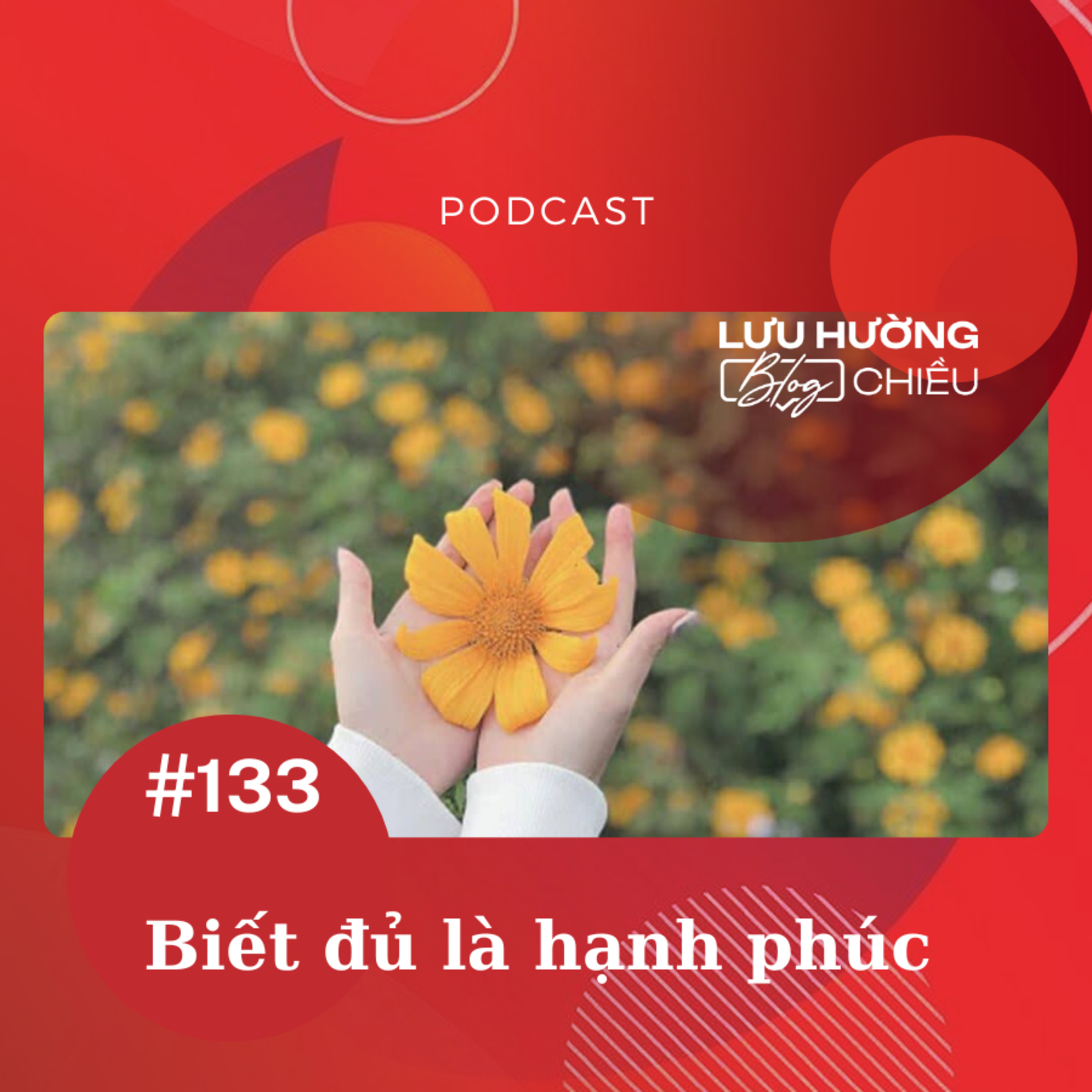 Biết đủ là hạnh phúc episode artwork