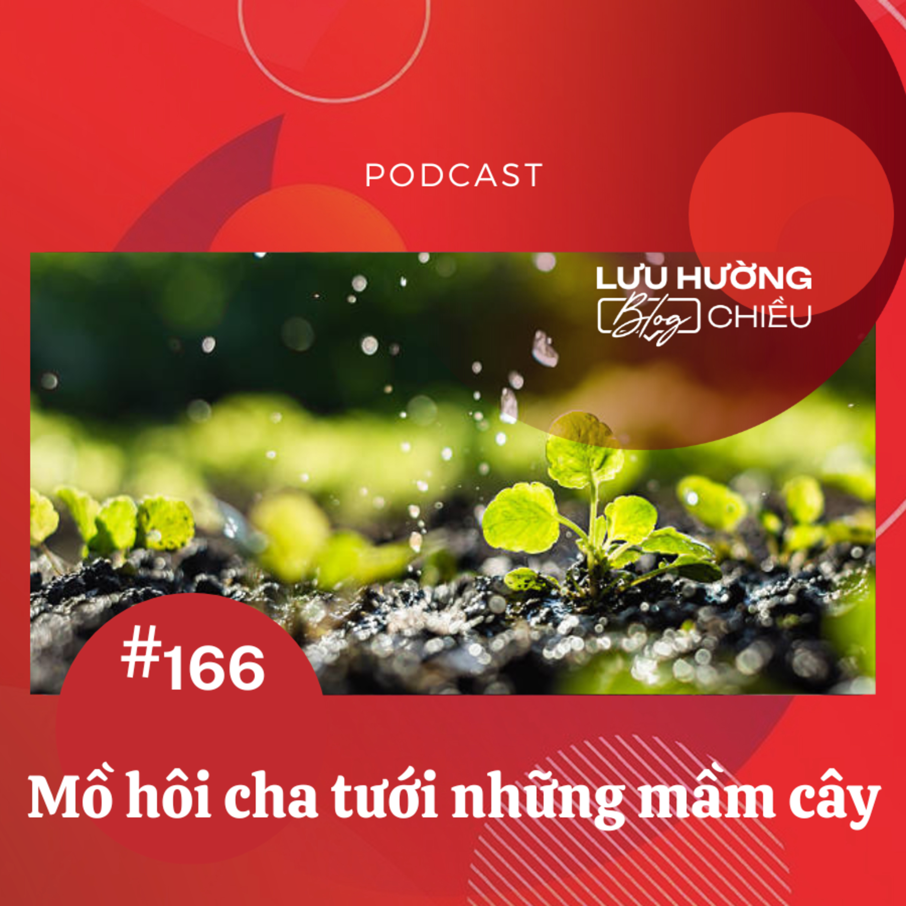 Mồ hôi cha tưới những mầm cây episode artwork