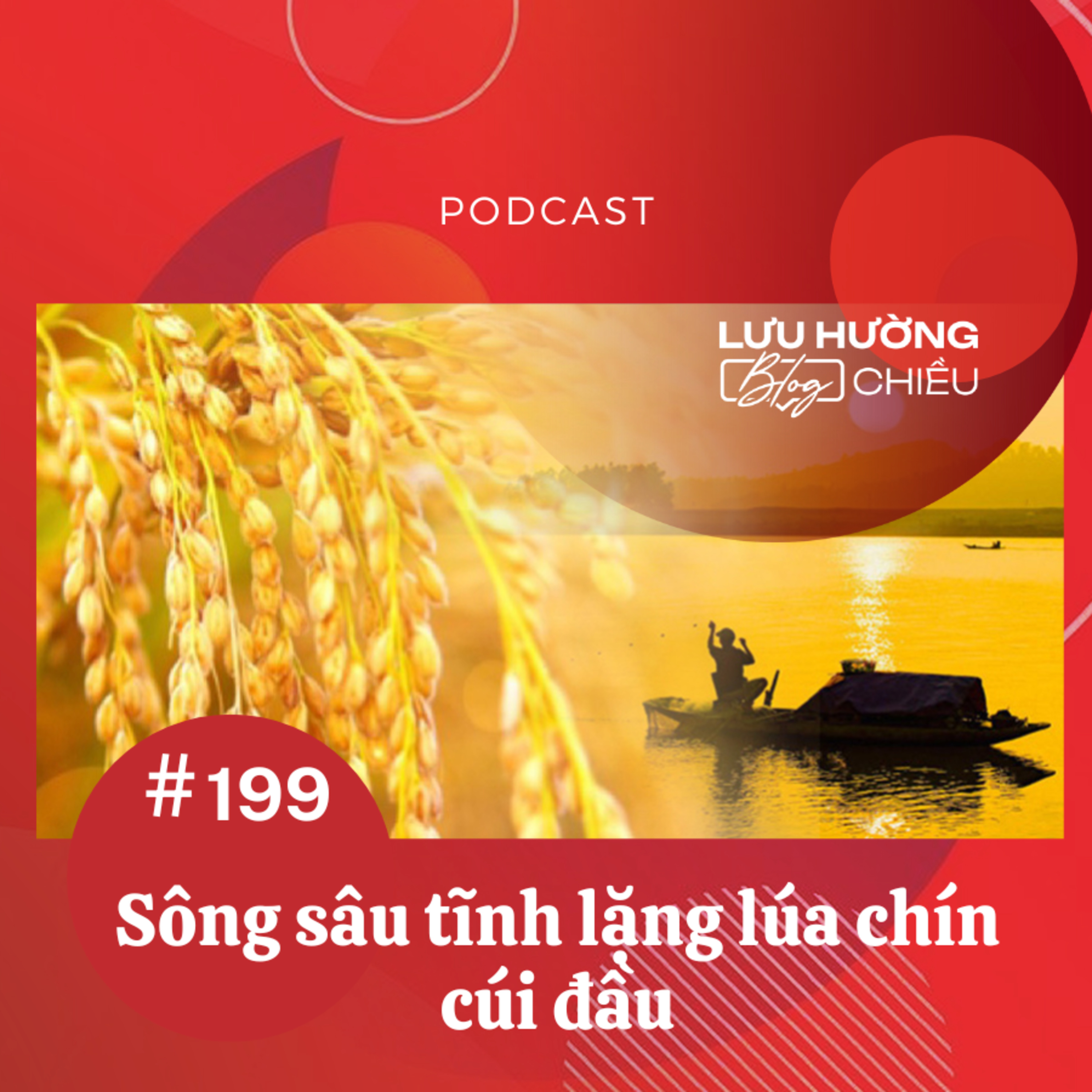 Sông sâu tĩnh lặng lúa chín cúi đầu episode artwork