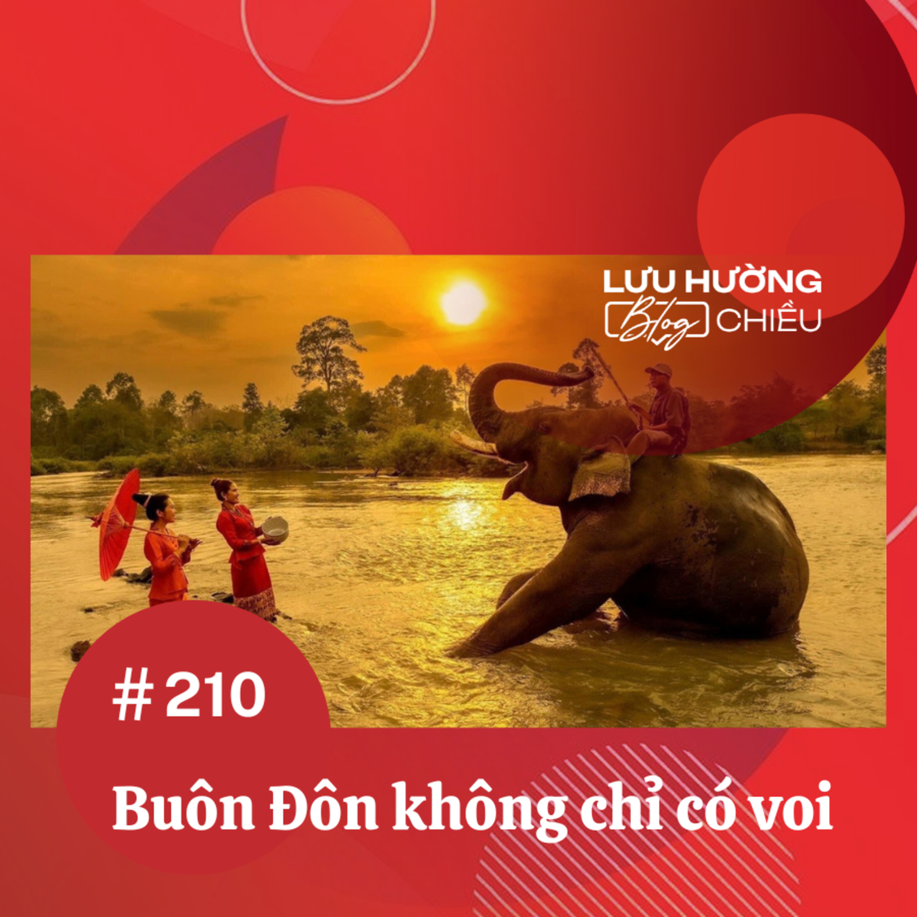 Buôn Đôn không chỉ có voi episode artwork