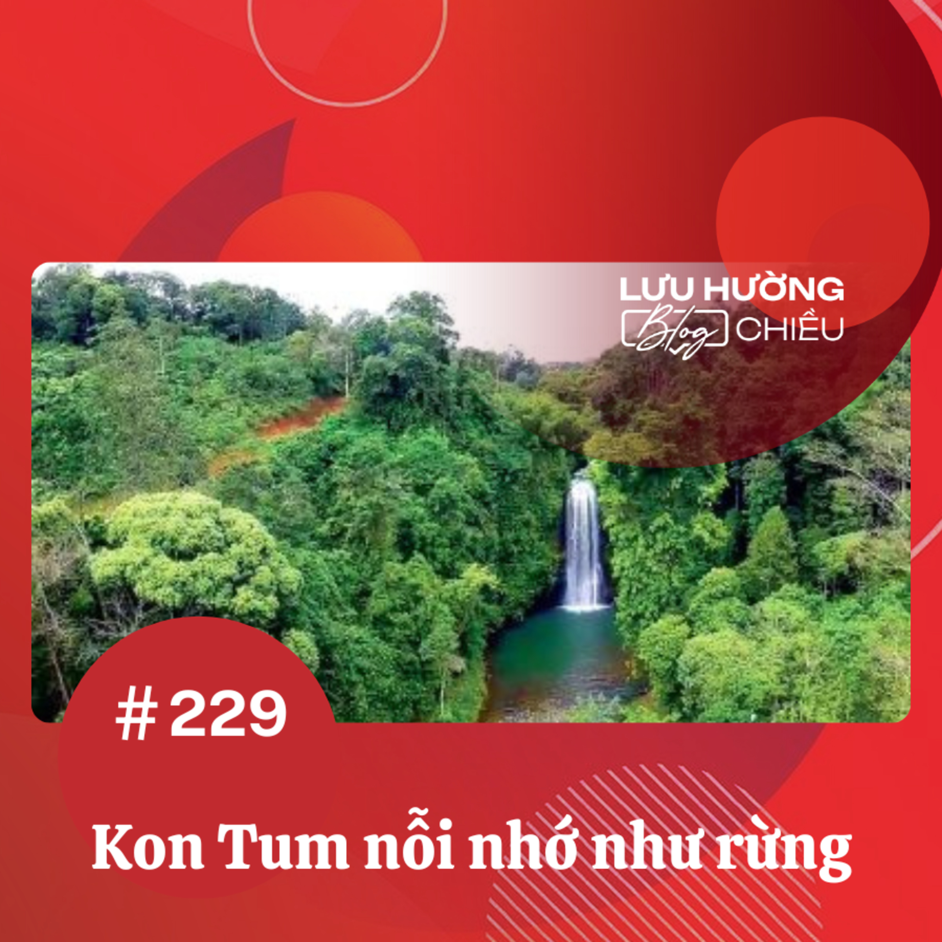 Kon Tum nỗi nhớ như rừng episode artwork