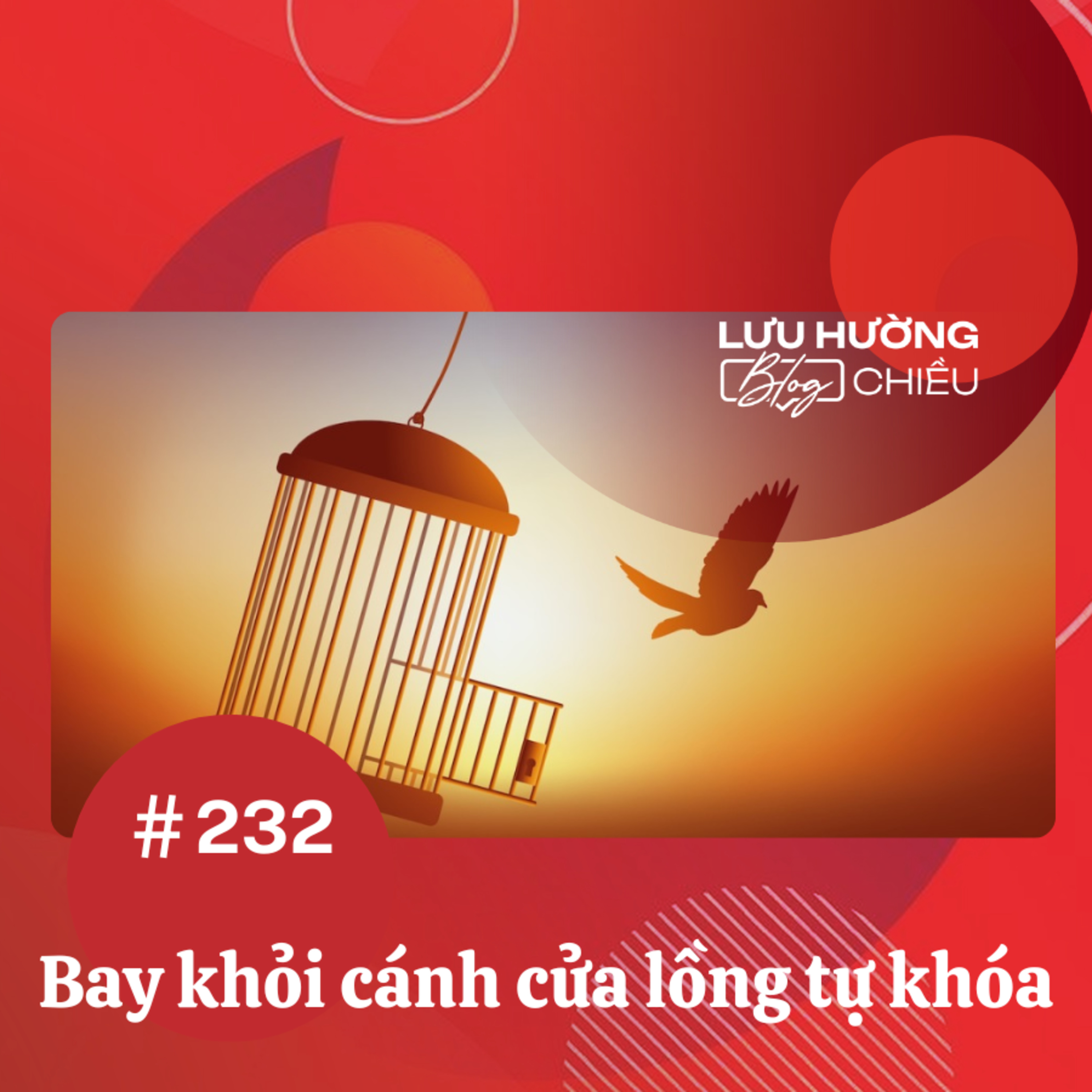 Bay khỏi cánh cửa lồng tự khóa episode artwork