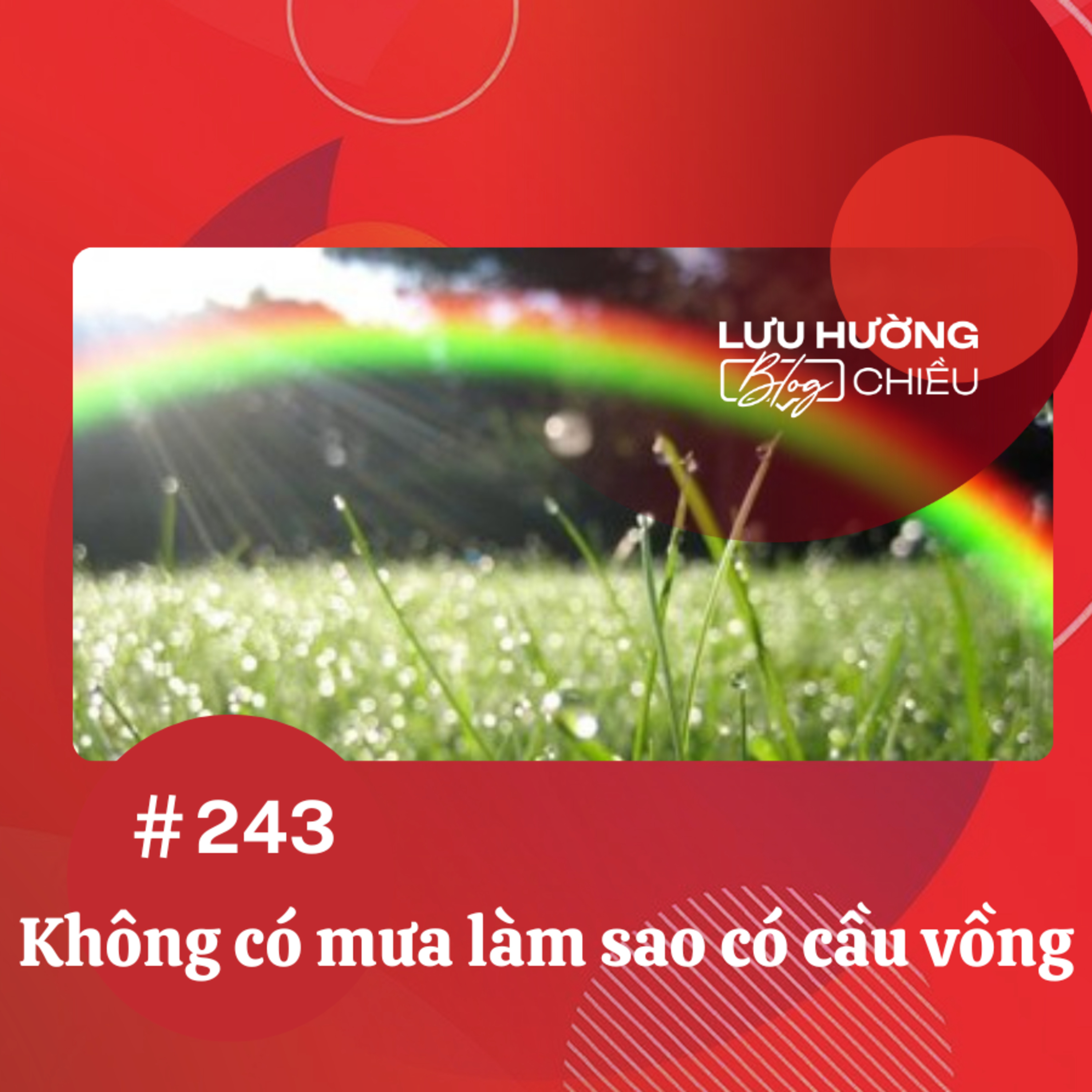 Không có mưa làm sao có cầu vồng episode artwork