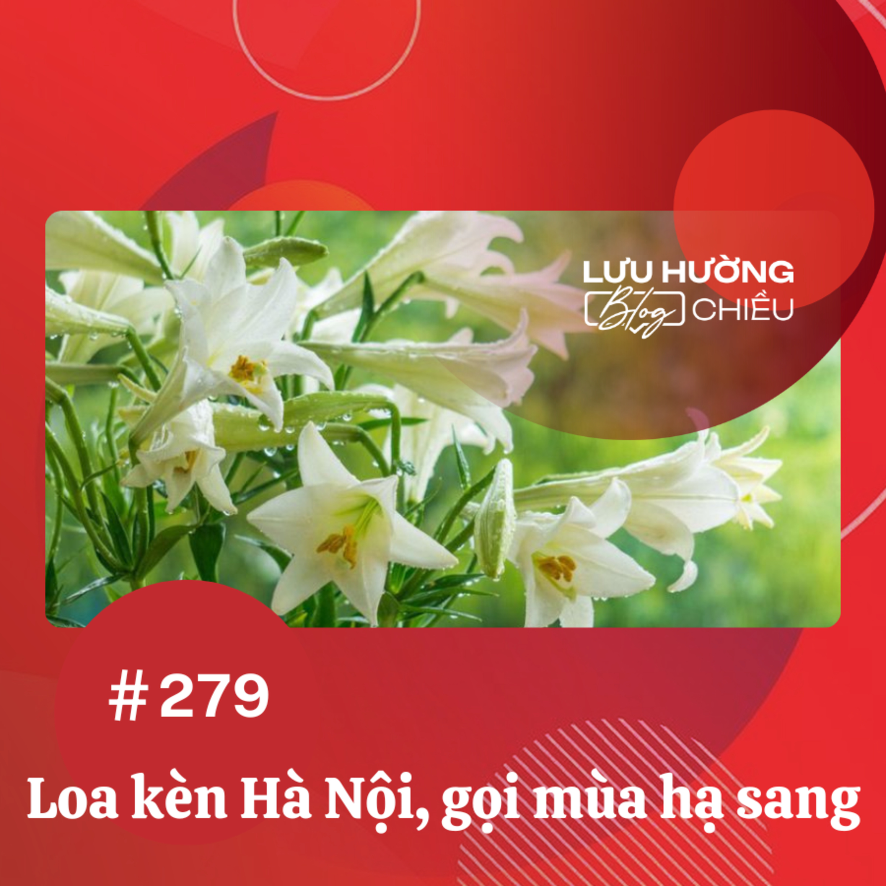 Loa kèn Hà Nội, gọi mùa hạ sang episode artwork