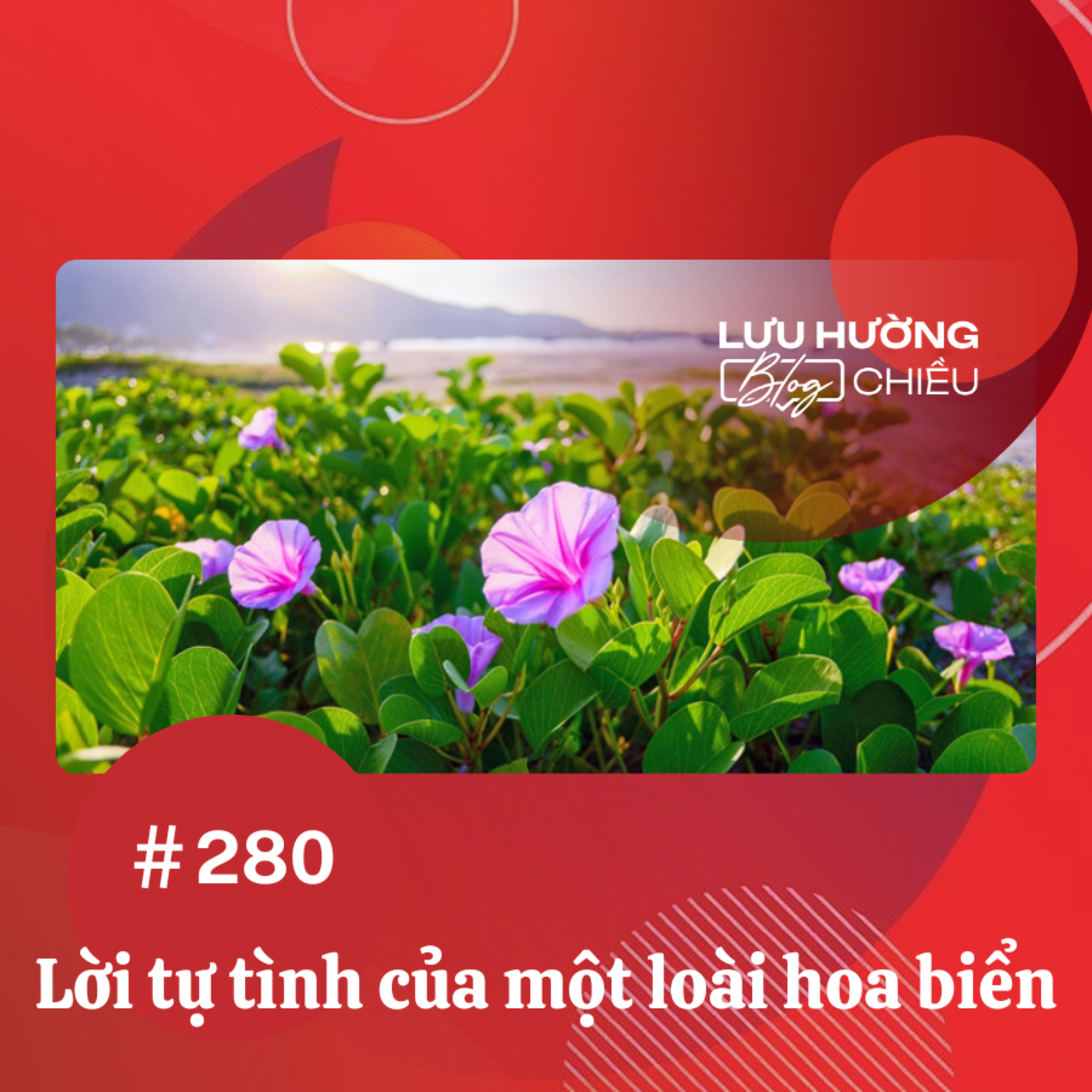 Lời tự tình của một loài hoa biển episode artwork