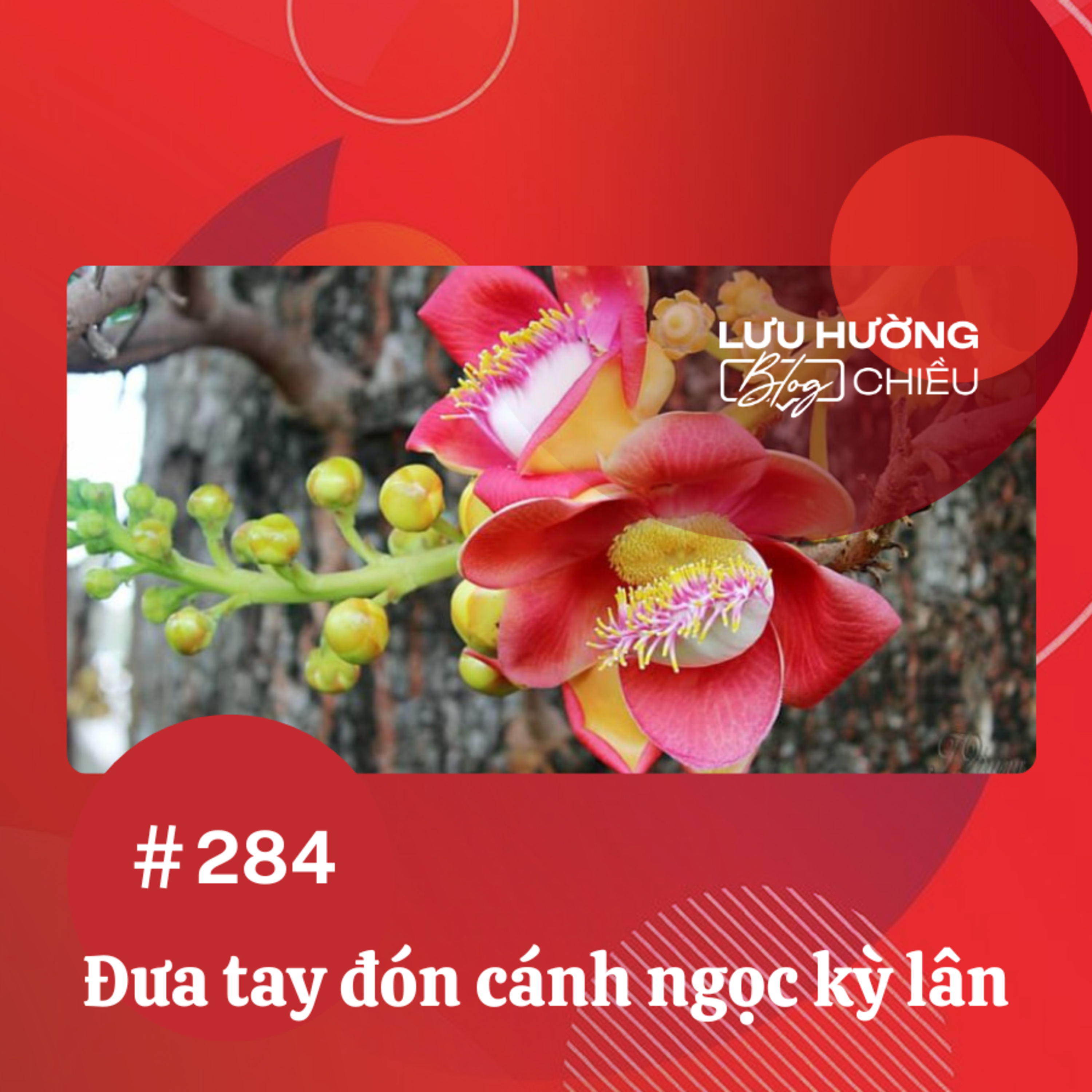 Đưa tay đón cánh ngọc kỳ lân episode artwork