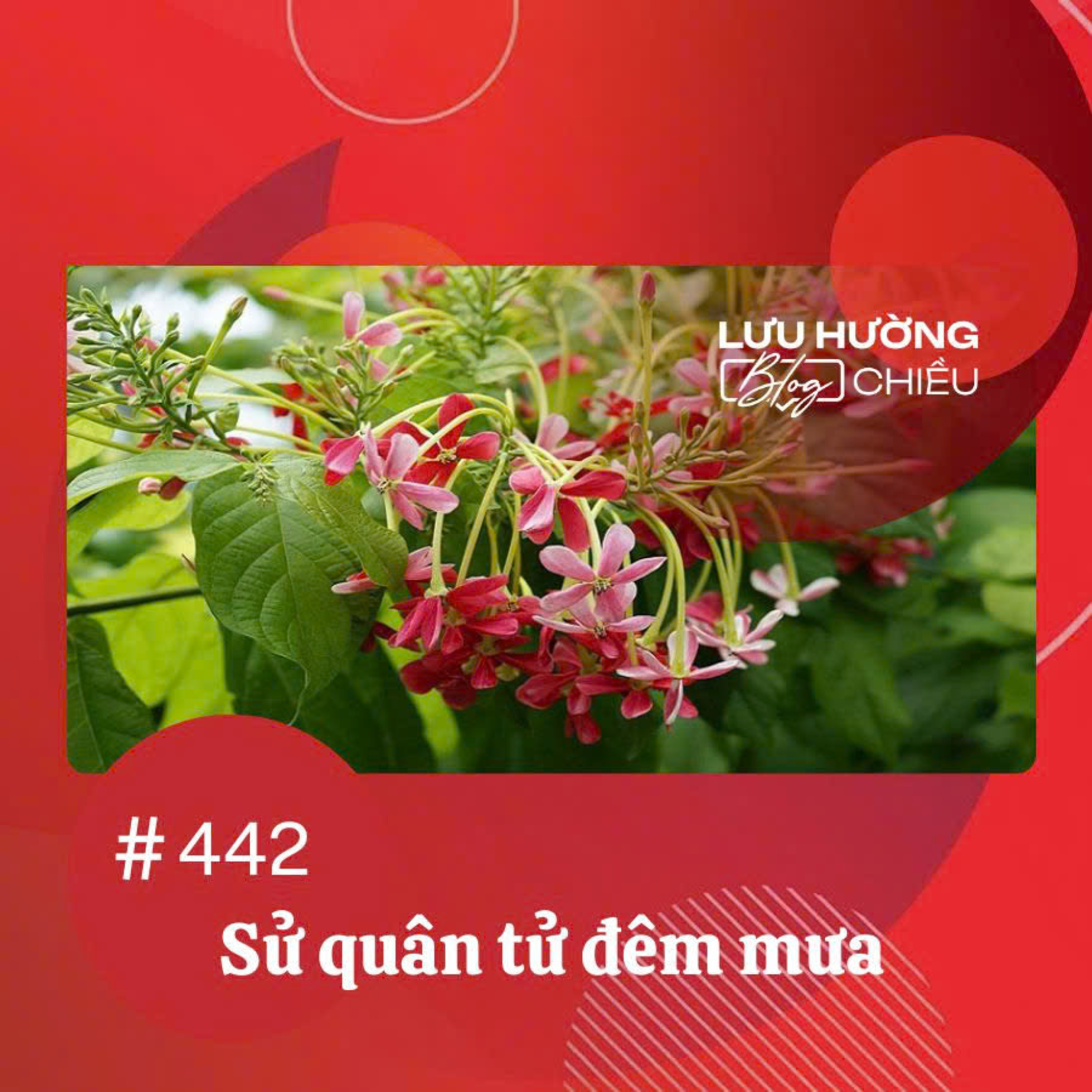 Sử quân tử đêm mưa | Lưu Hường blog chiều | Đài Hà Nội episode artwork