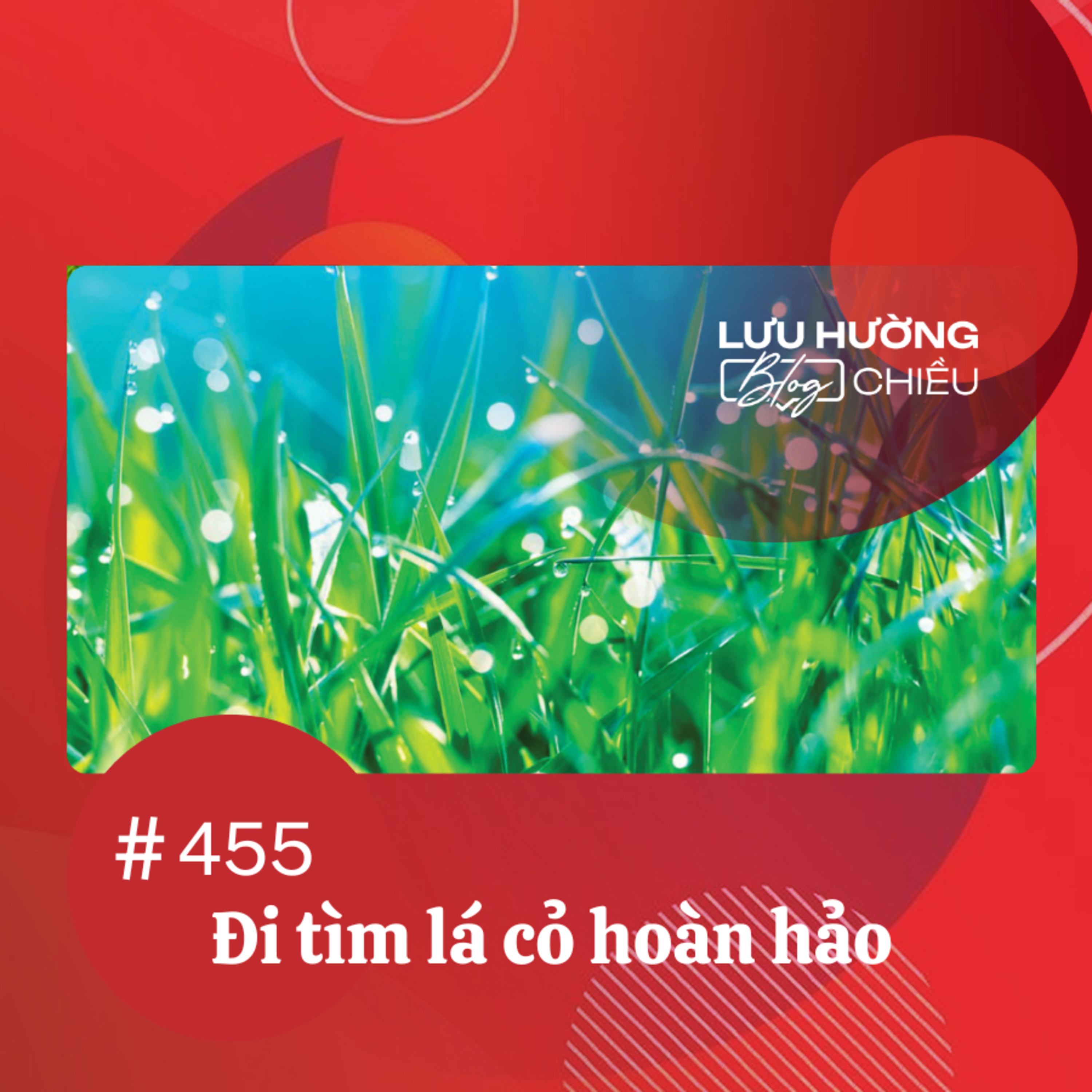 Đi tìm lá cỏ hoàn hảo | Lưu Hường blog chiều | Đài Hà Nội episode artwork