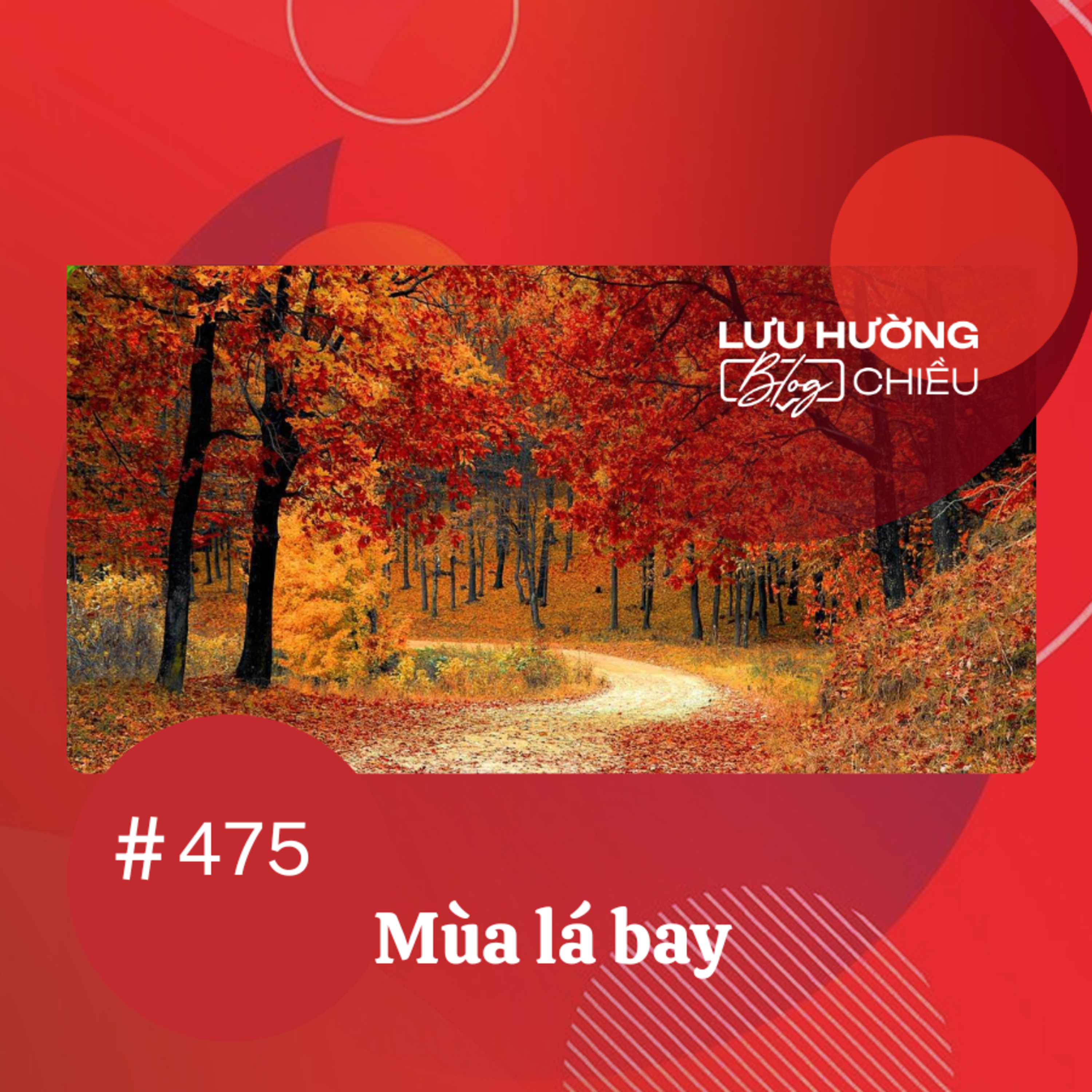 Mùa lá bay | Lưu Hường blog chiều | Đài Hà Nội episode artwork