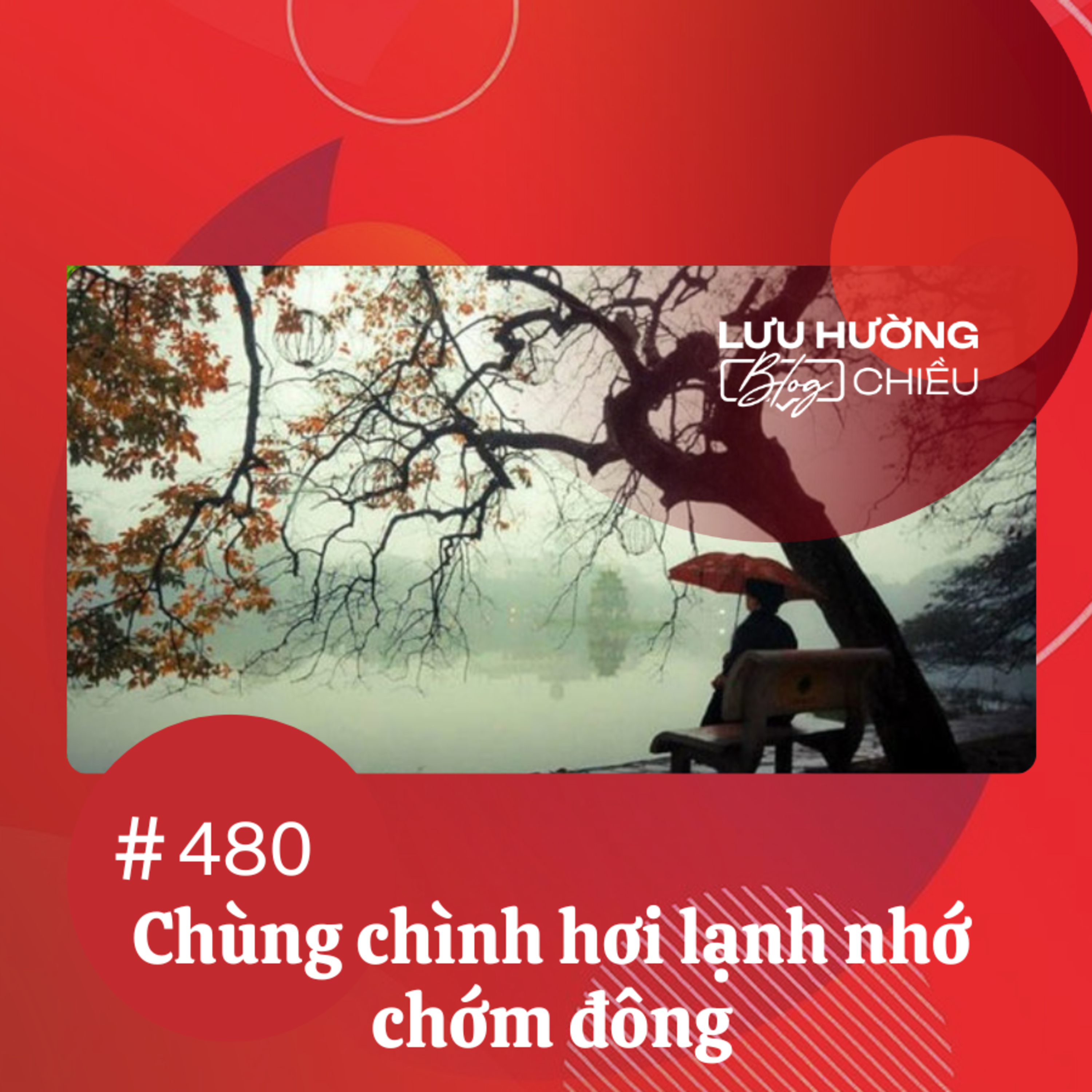 Chùng chình hơi lạnh nhớ chớm đông | Lưu Hường blog chiều | Đài Hà Nội episode artwork