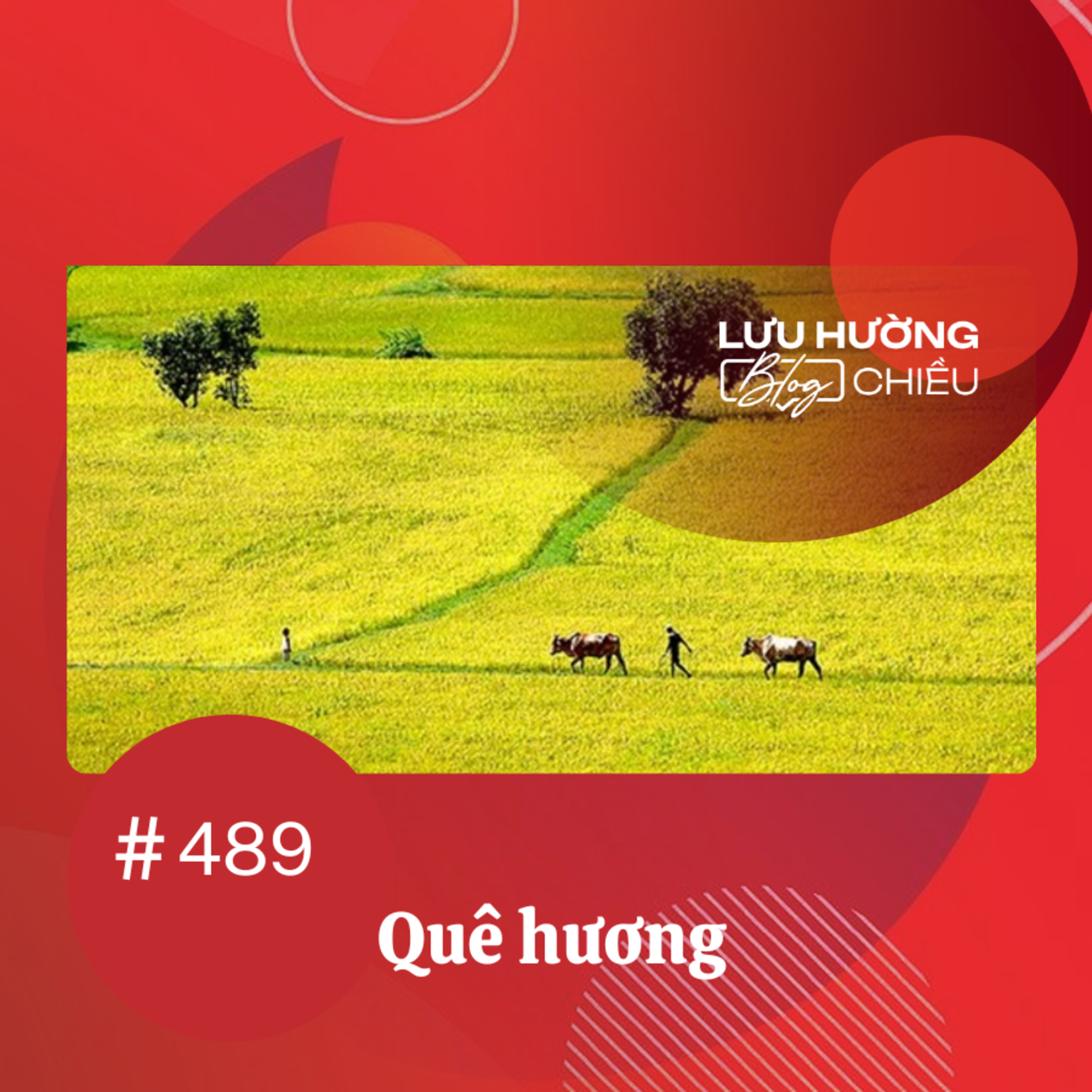 Quê hương | Lưu Hường blog chiều | Đài Hà Nội episode artwork