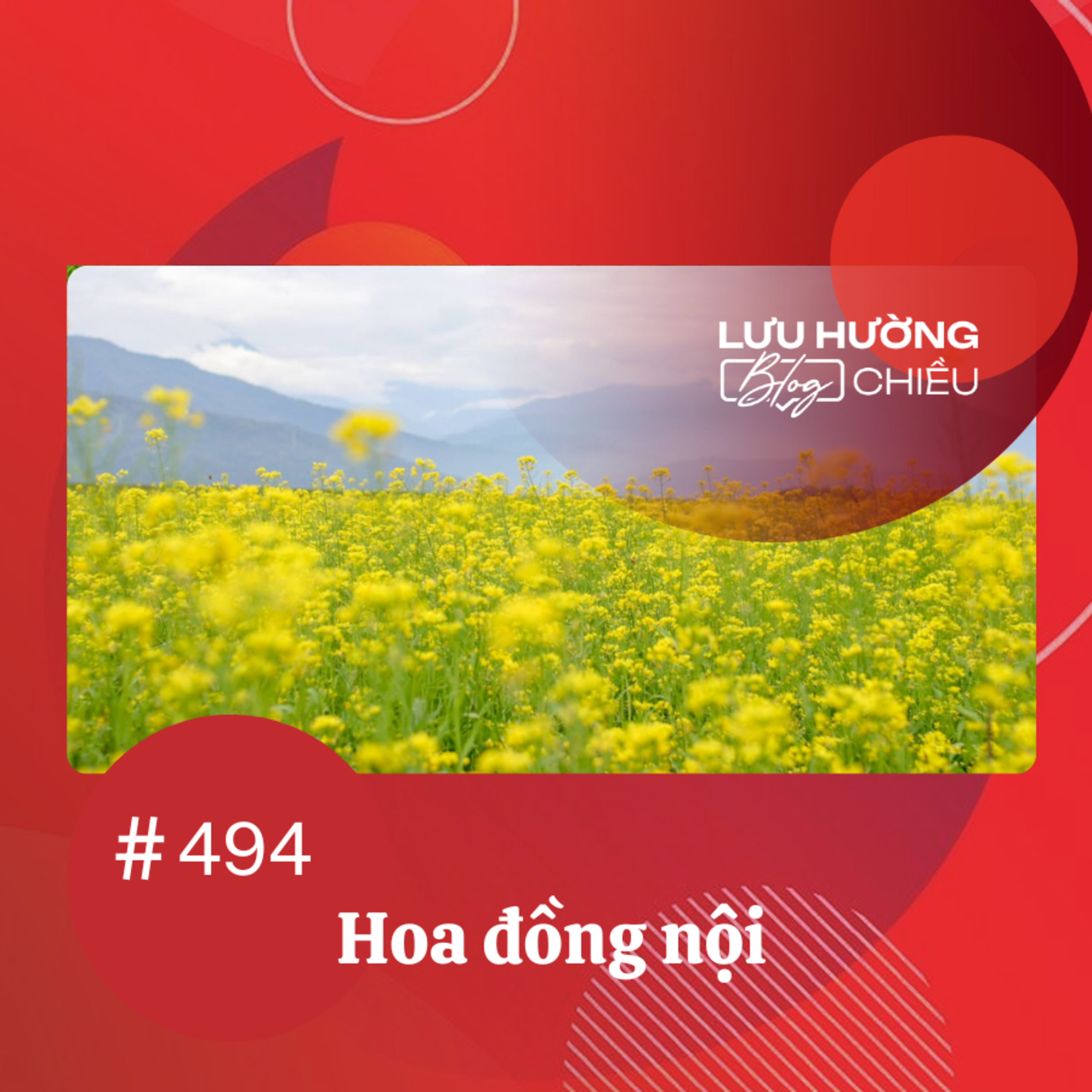 Hoa đồng nội | Lưu Hường blog chiều | Đài Hà Nội episode artwork