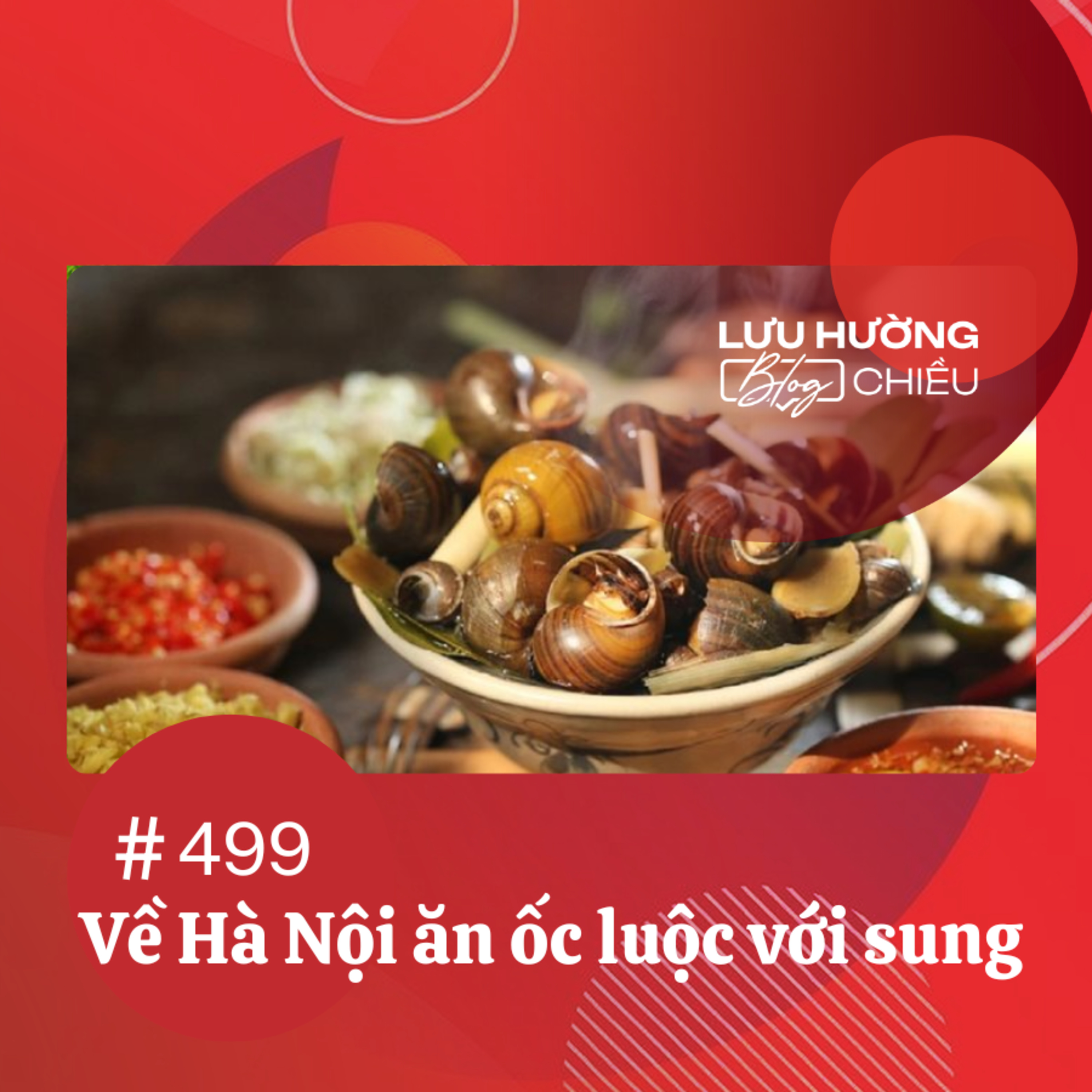 Về Hà Nội ăn ốc luộc với sung | Lưu Hường blog chiều | Đài Hà Nội episode artwork