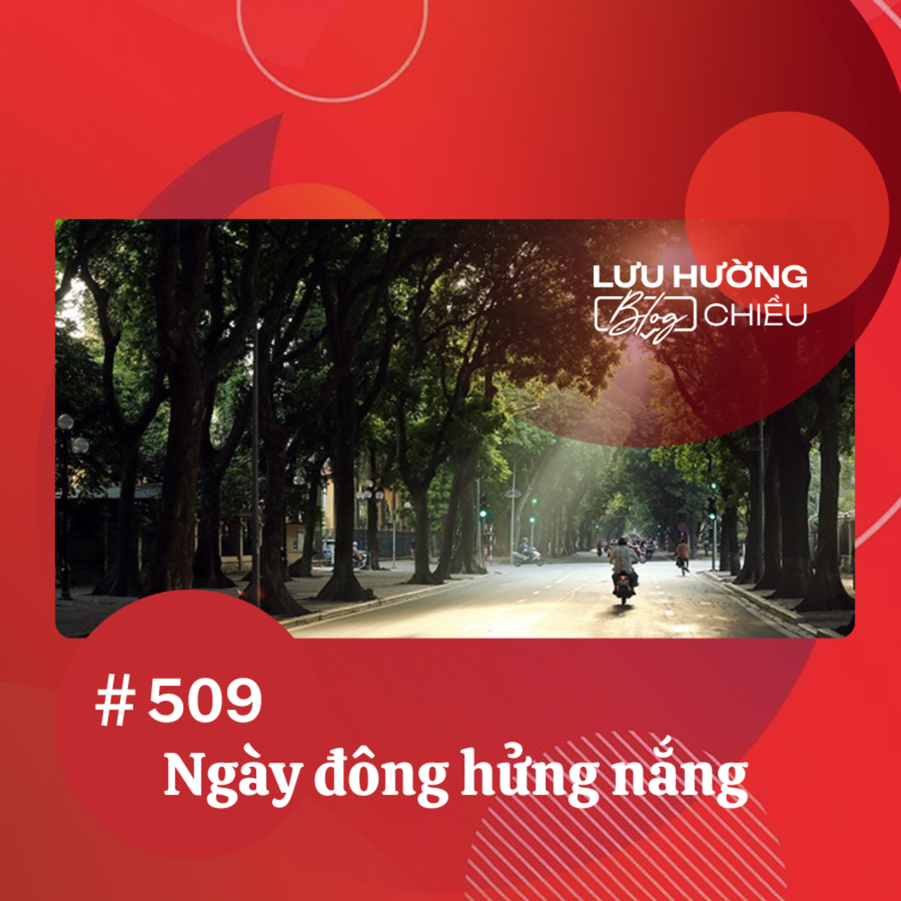 Ngày đông hửng nắng | Lưu Hường blog chiều | Đài Hà Nội episode artwork
