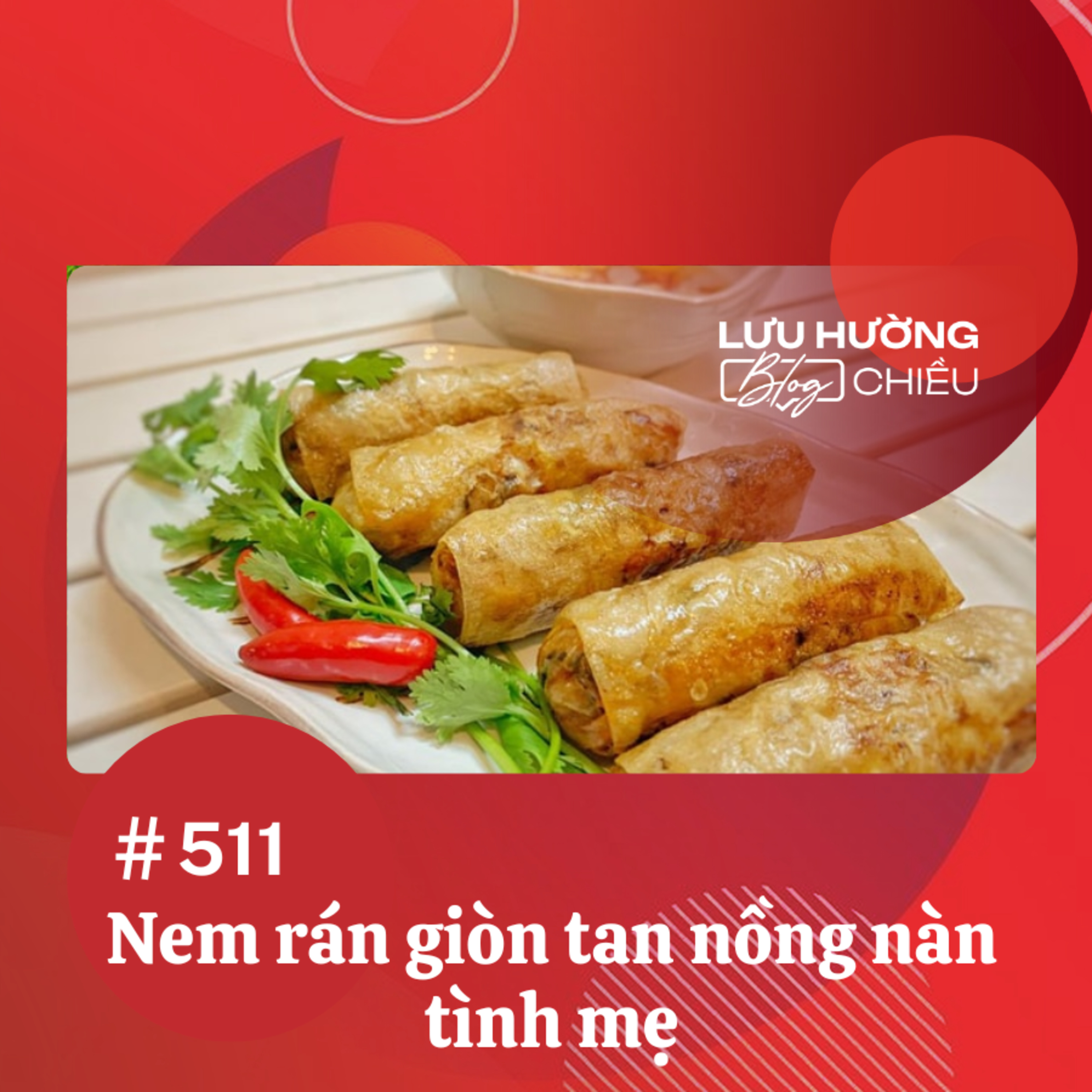 Nem rán giòn tan nồng nàn tình mẹ | Lưu Hường blog chiều | Đài Hà Nội episode artwork