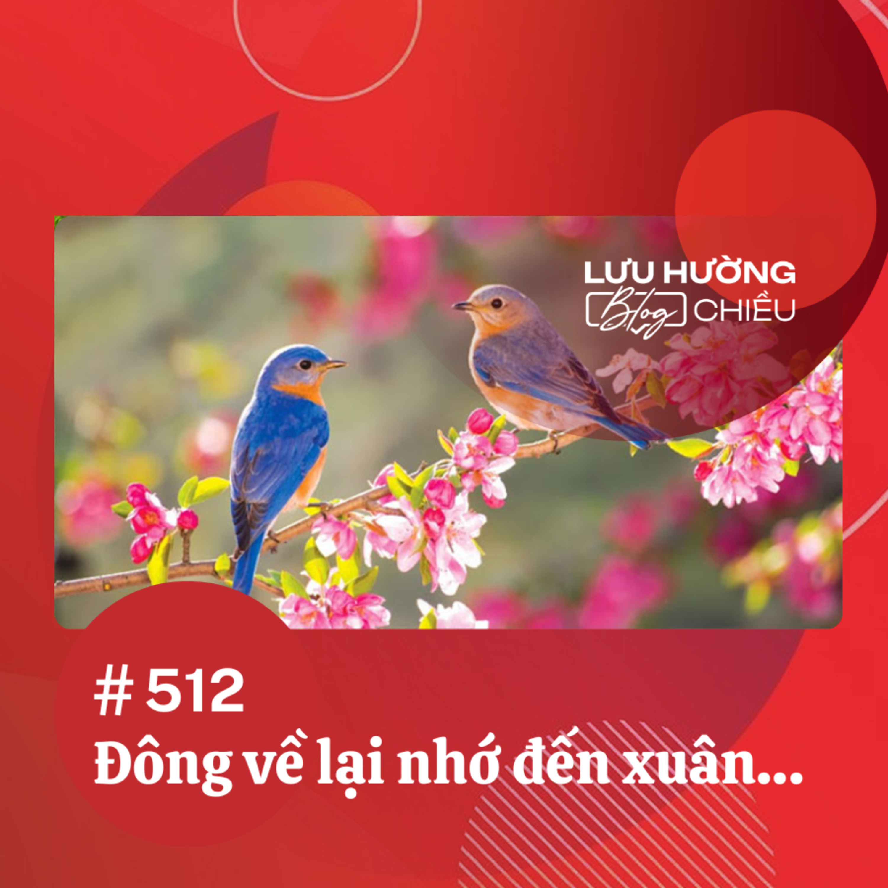 Đông về lại nhớ đến xuân… | Lưu Hường blog chiều | Đài Hà Nội episode artwork