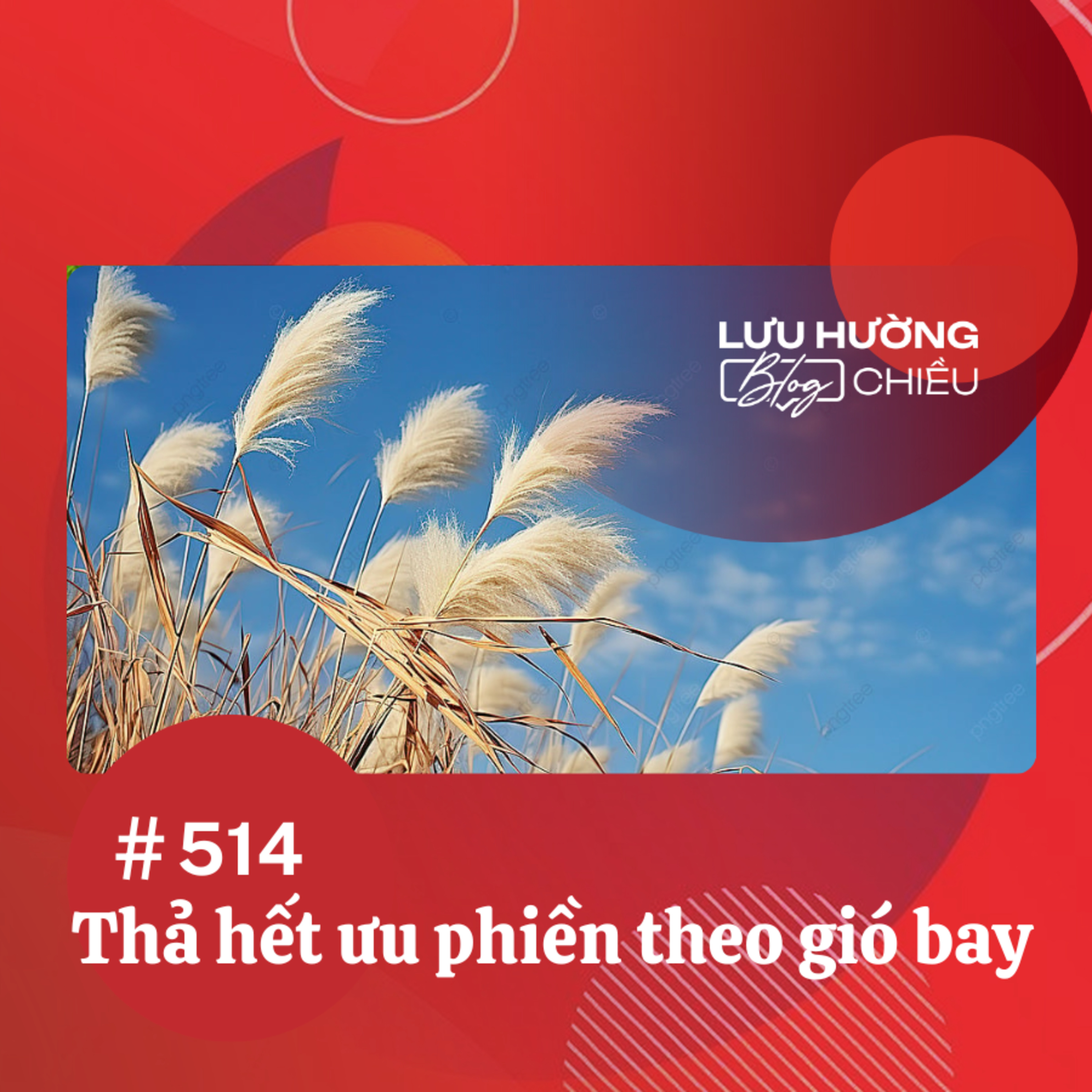 Thả hết ưu phiền theo gió bay | Lưu Hường blog chiều | Đài Hà Nội episode artwork
