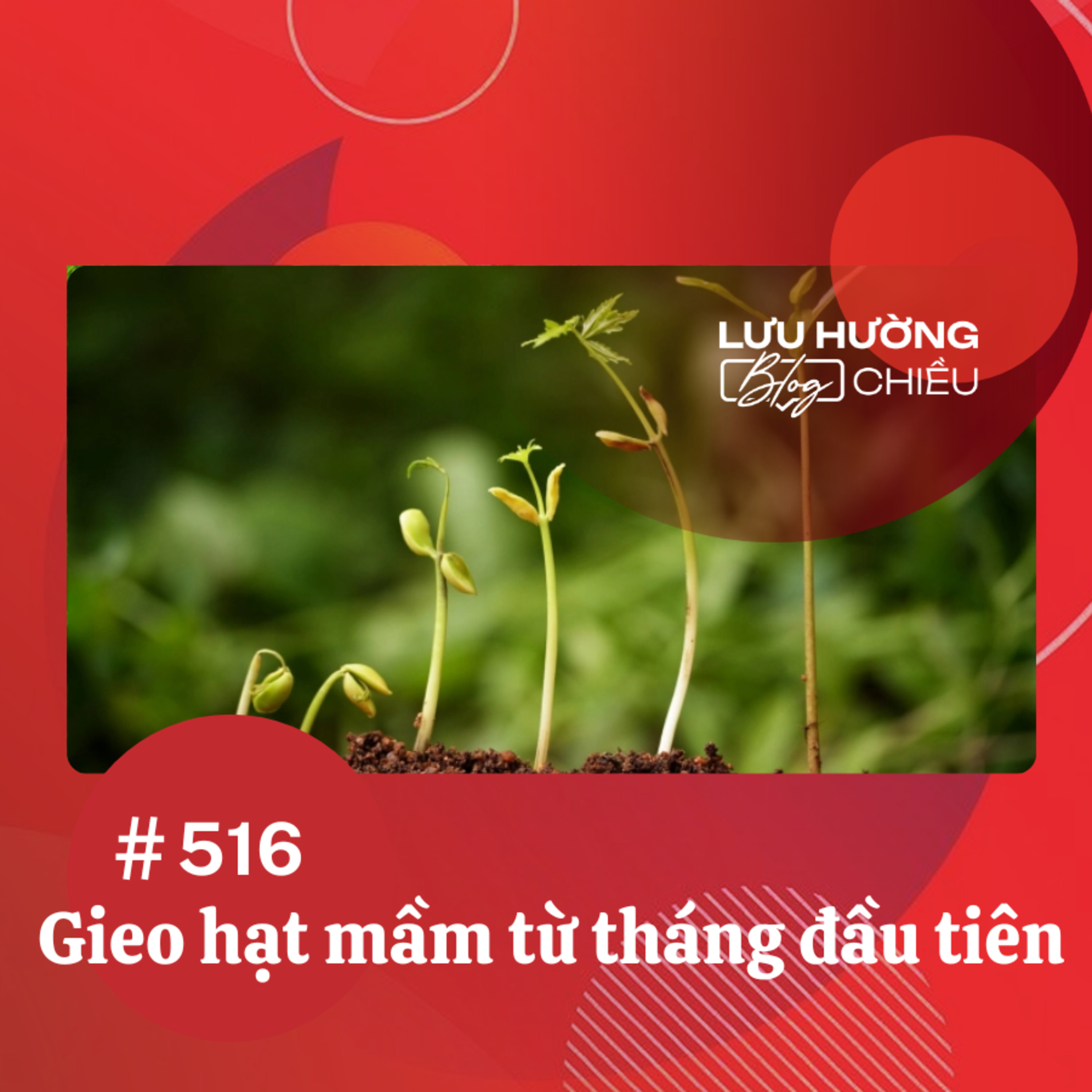 Gieo hạt mầm từ tháng đầu tiên | Lưu Hường blog chiều | Đài Hà Nội episode artwork