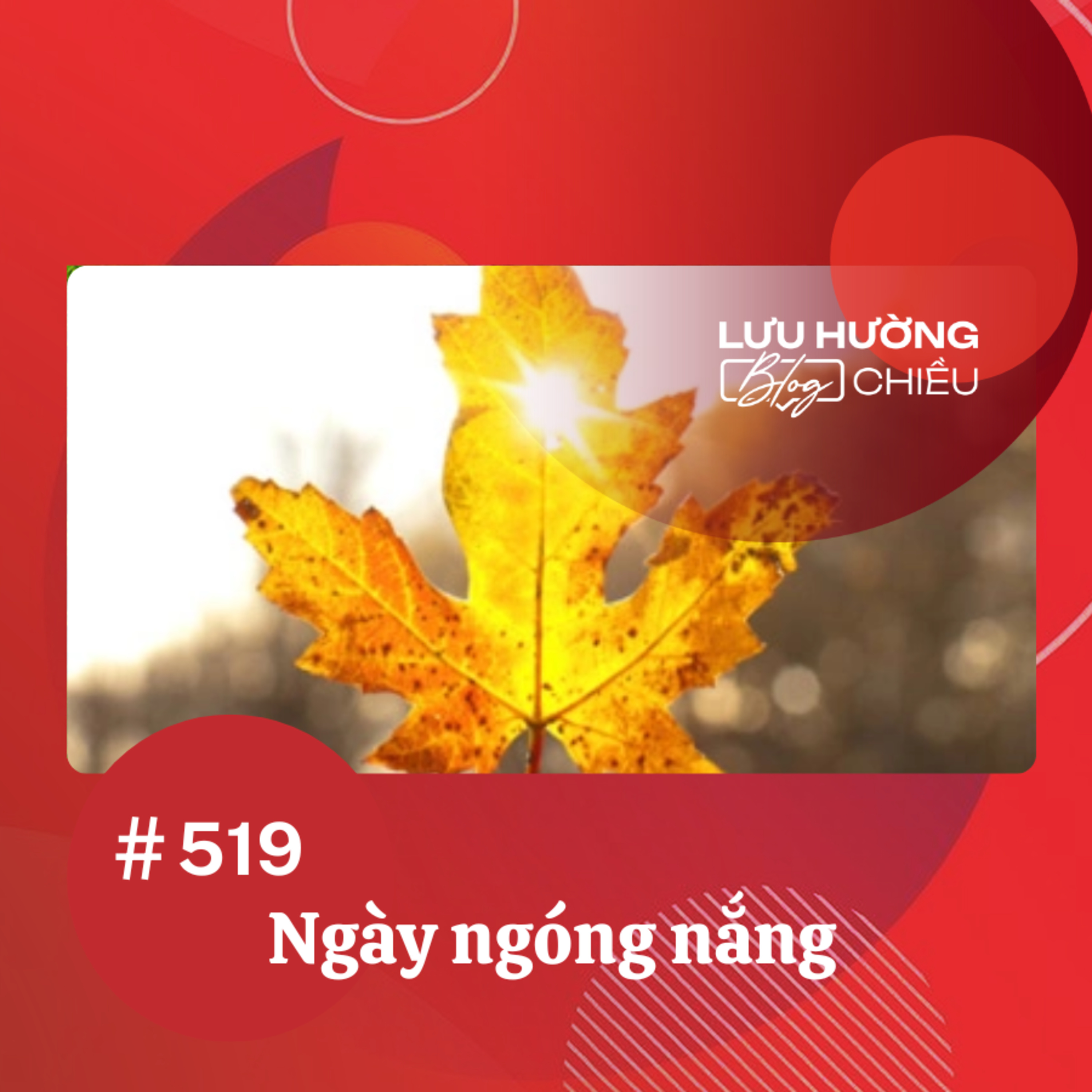 Ngày ngóng nắng | Lưu Hường blog chiều | Đài Hà Nội episode artwork