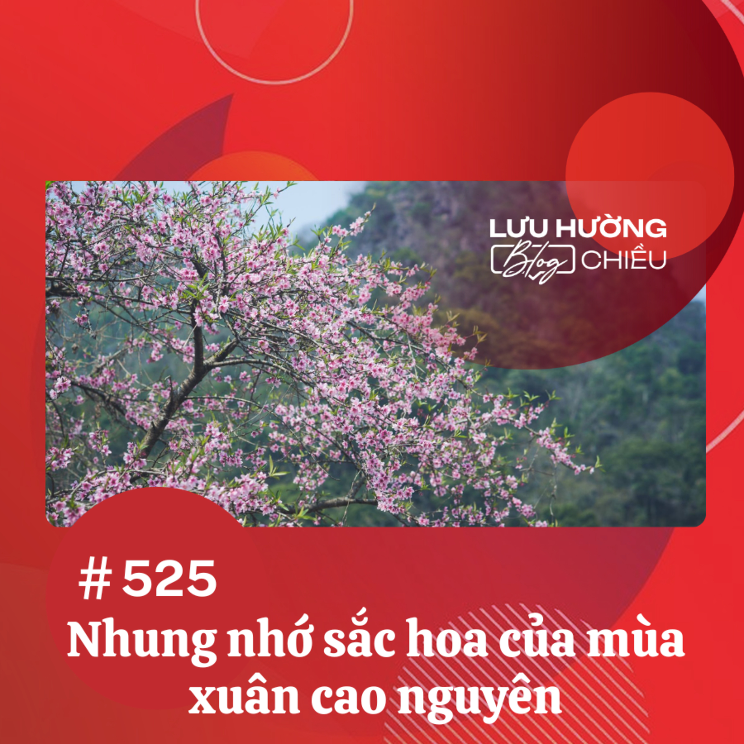 Đài Hà Nội | Lưu Hường Blog chiều | Podcast