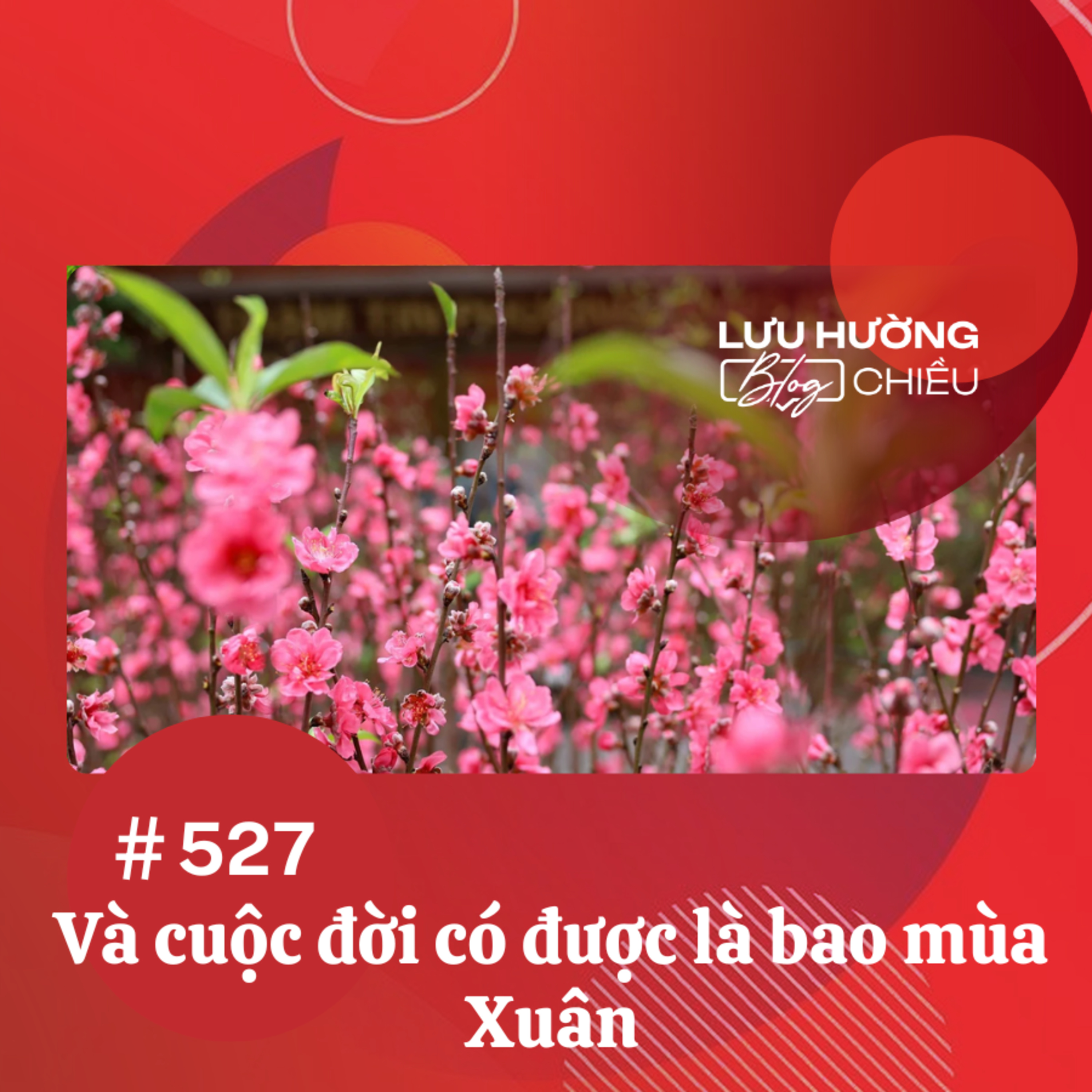 Và cuộc đời có được là bao mùa Xuân | Lưu Hường blog chiều | Đài Hà Nội episode artwork