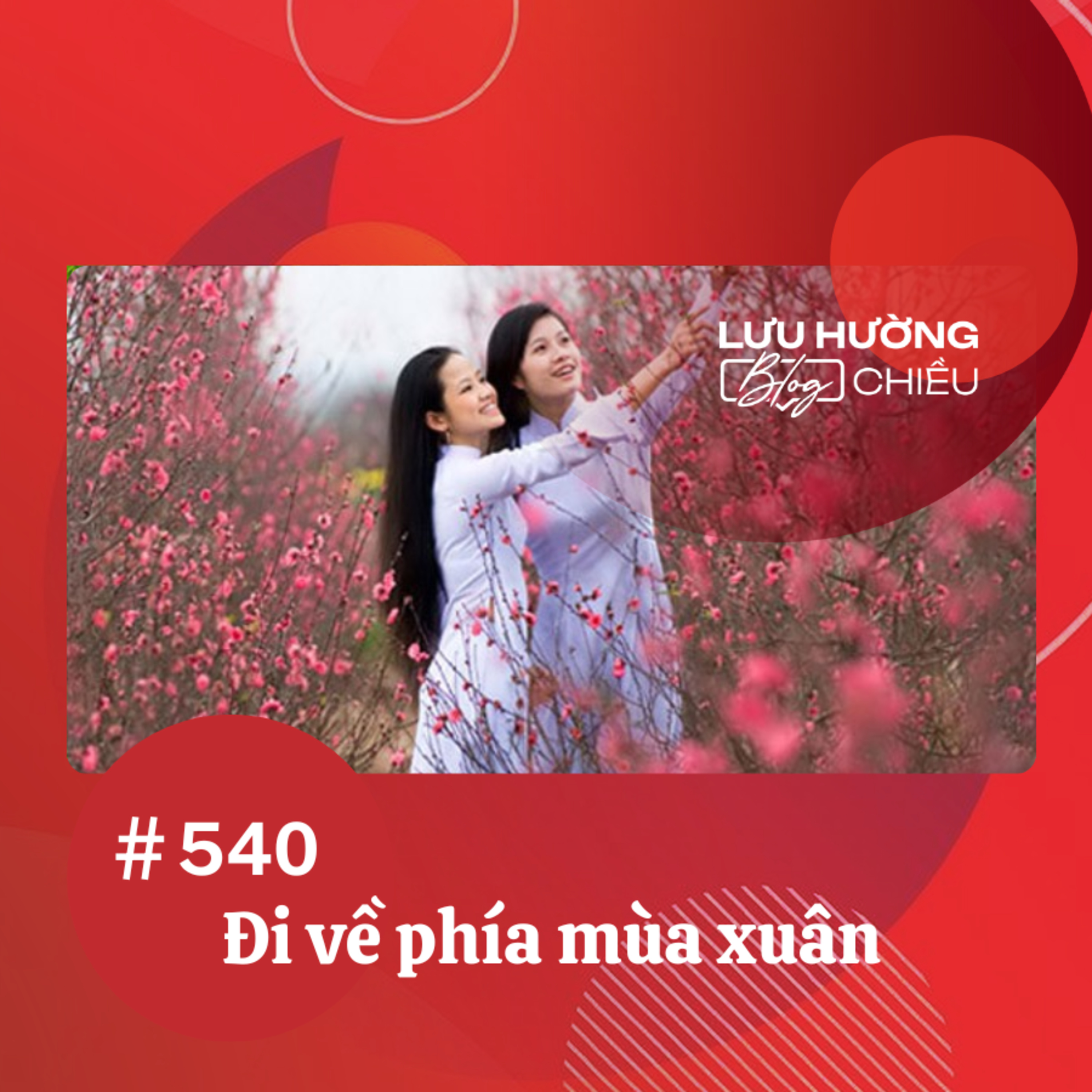 Đi về phía mùa xuân | Lưu Hường blog chiều | Đài Hà Nội episode artwork