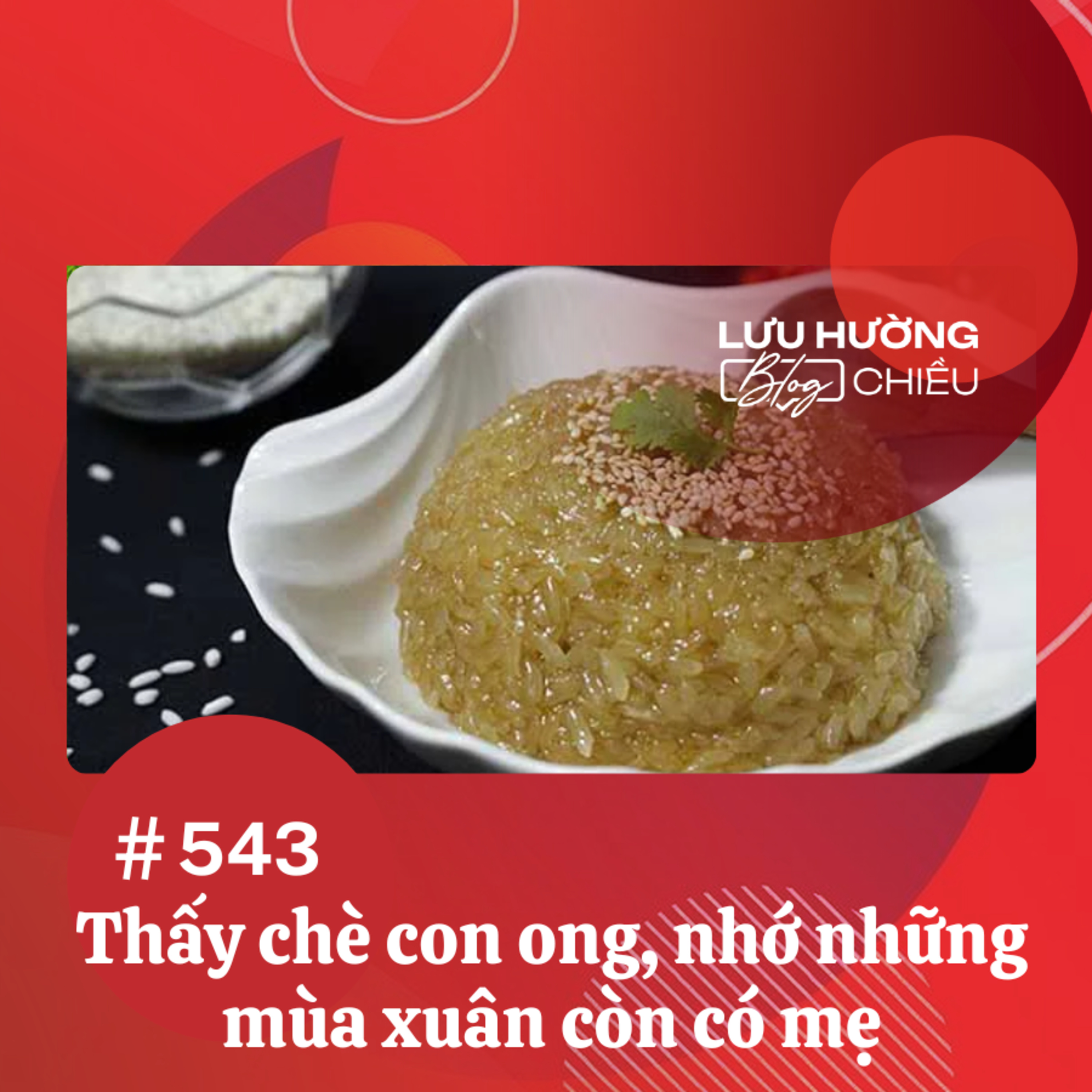 Thấy chè con ong, nhớ những mùa xuân còn có mẹ | Lưu Hường blog chiều | Đài Hà Nội episode artwork