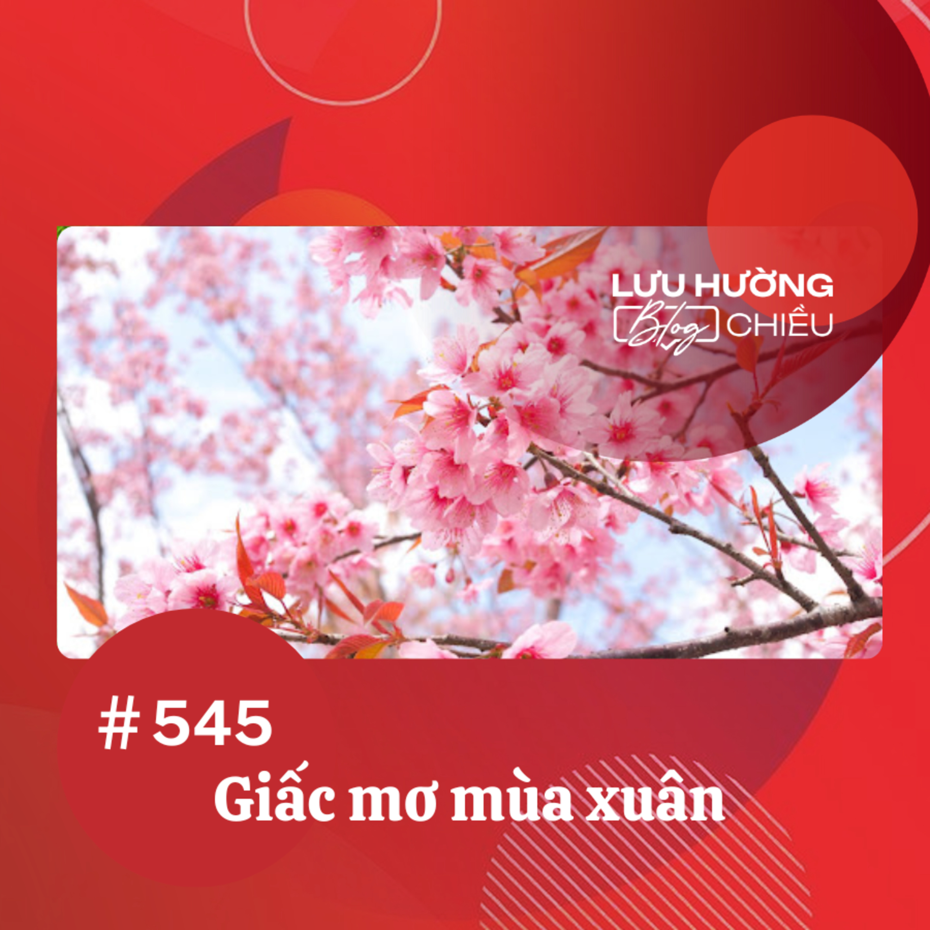 Đài Hà Nội | Lưu Hường Blog chiều | Podcast