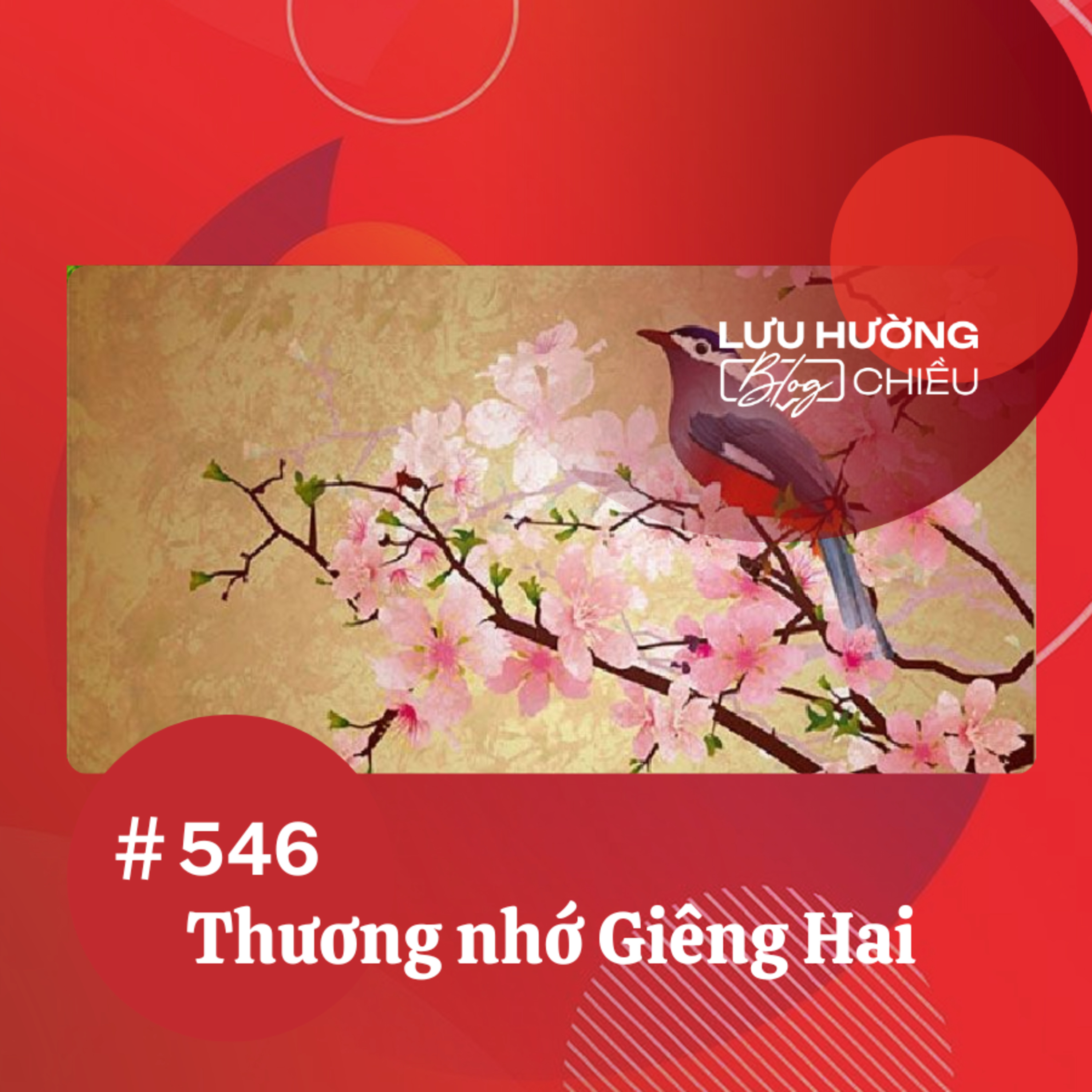 Đài Hà Nội | Lưu Hường Blog chiều | Podcast