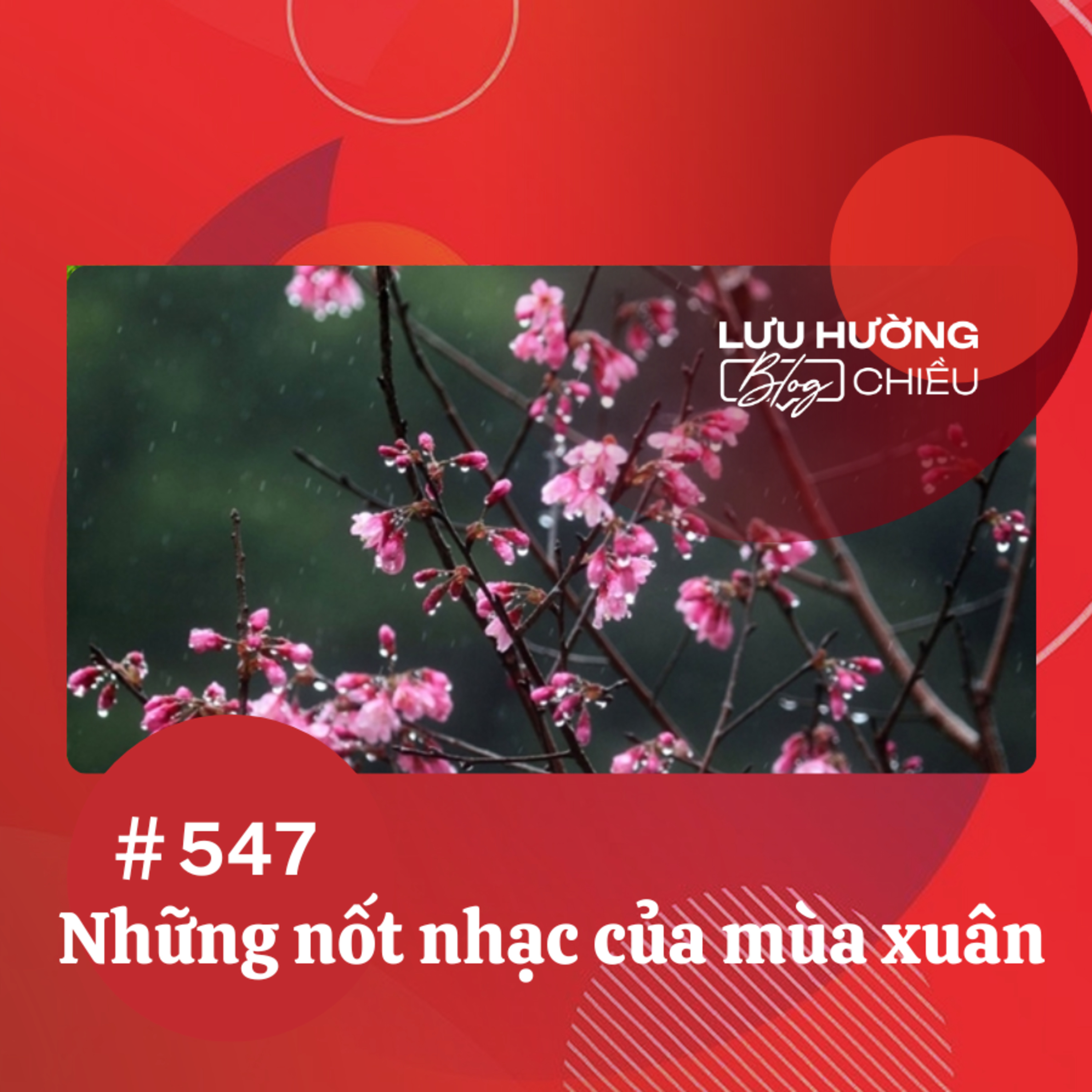 Những nốt nhạc của mùa xuân | Lưu Hường blog chiều | Đài Hà Nội episode artwork