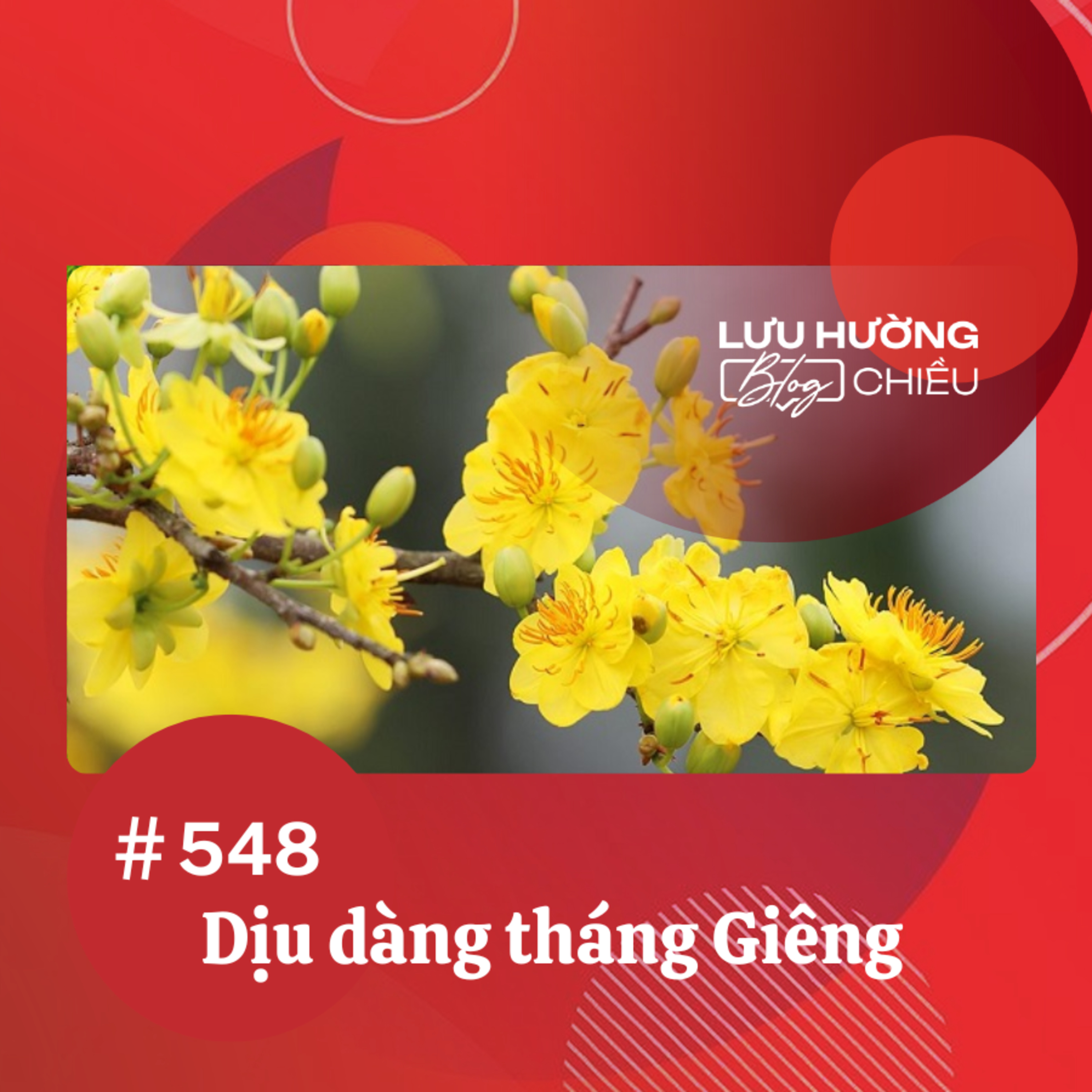 Dịu dàng tháng Giêng | Lưu Hường blog chiều | Đài Hà Nội episode artwork