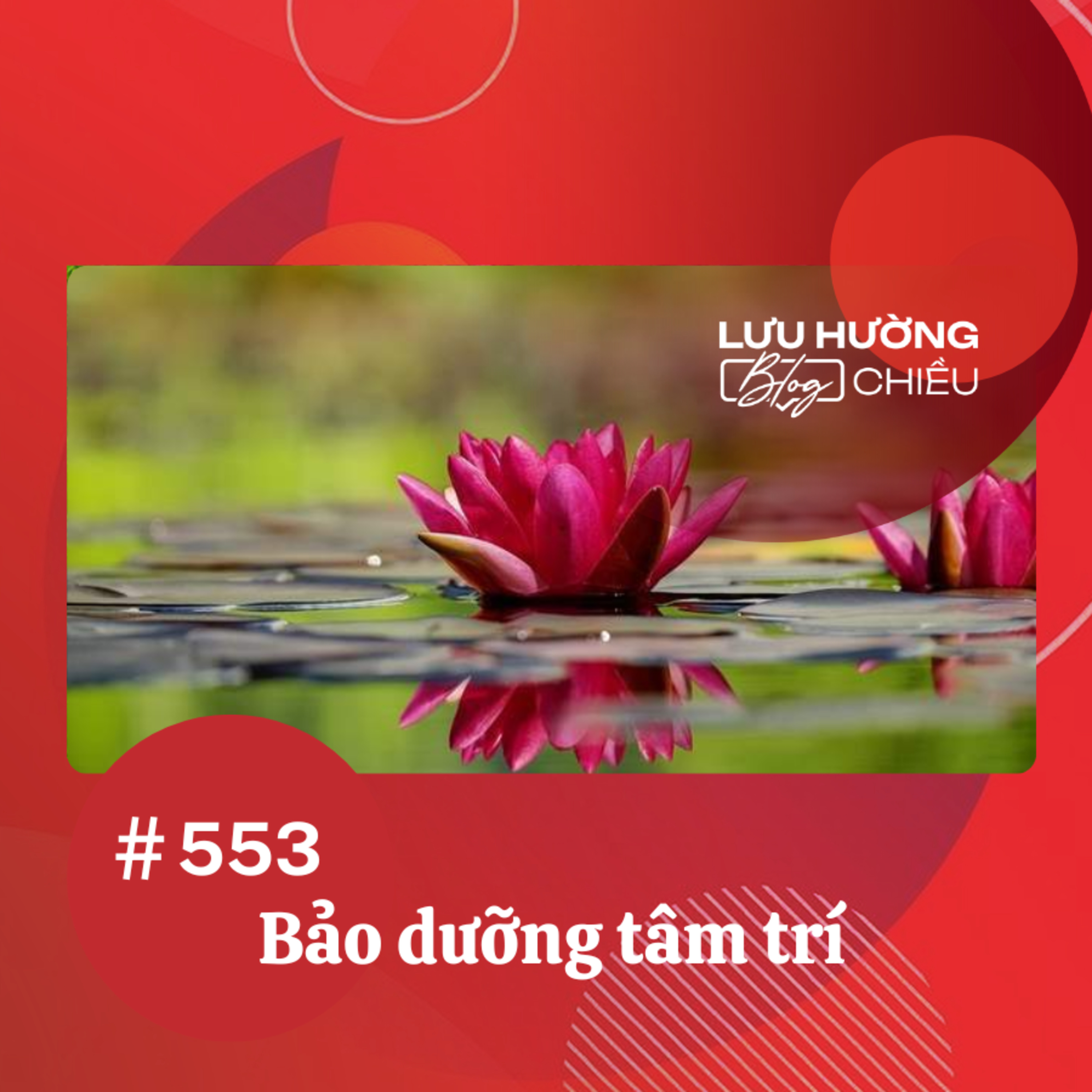 Bảo dưỡng tâm trí | Lưu Hường blog chiều | Đài Hà Nội episode artwork