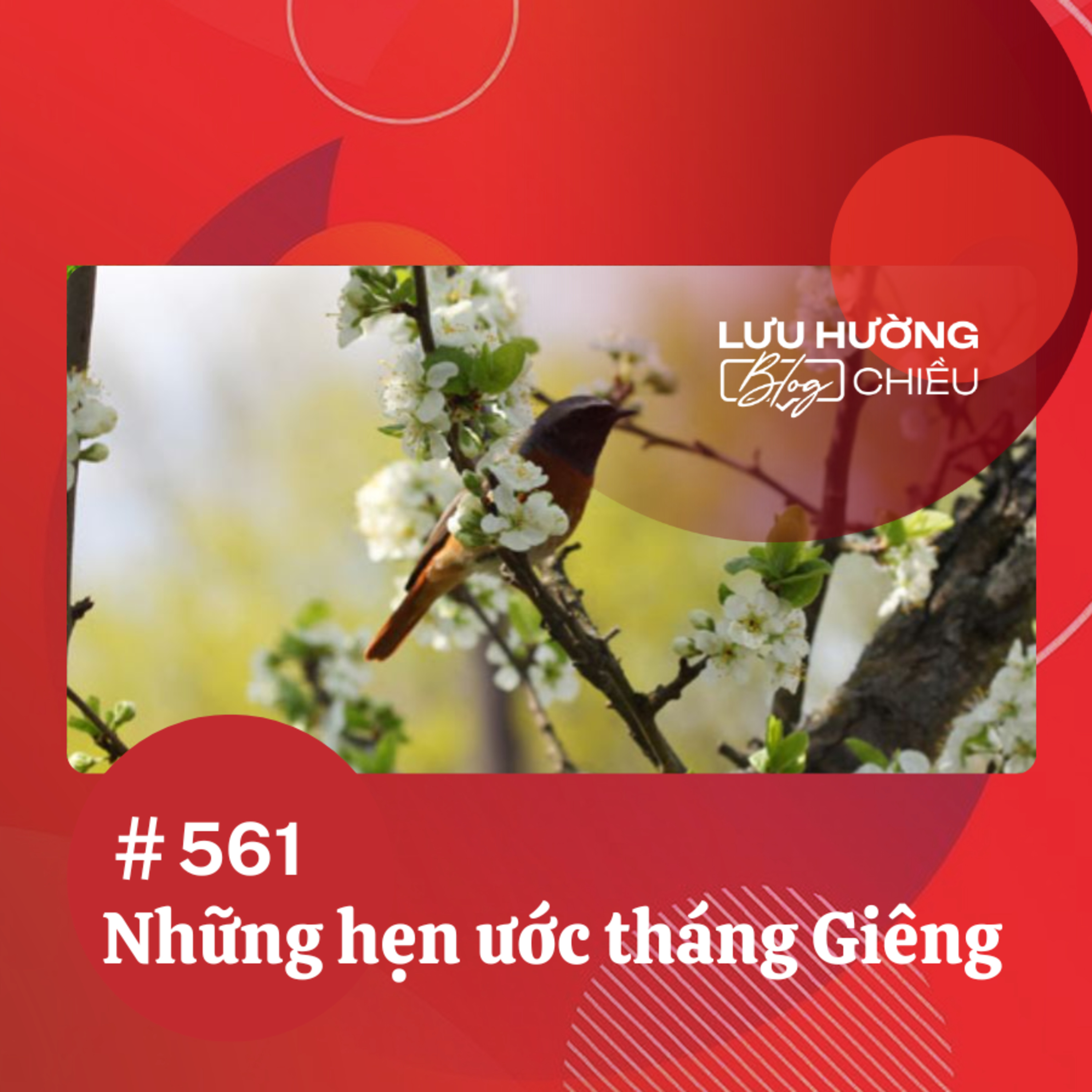 Những hẹn ước tháng Giêng | Lưu Hường blog chiều | Đài Hà Nội episode artwork