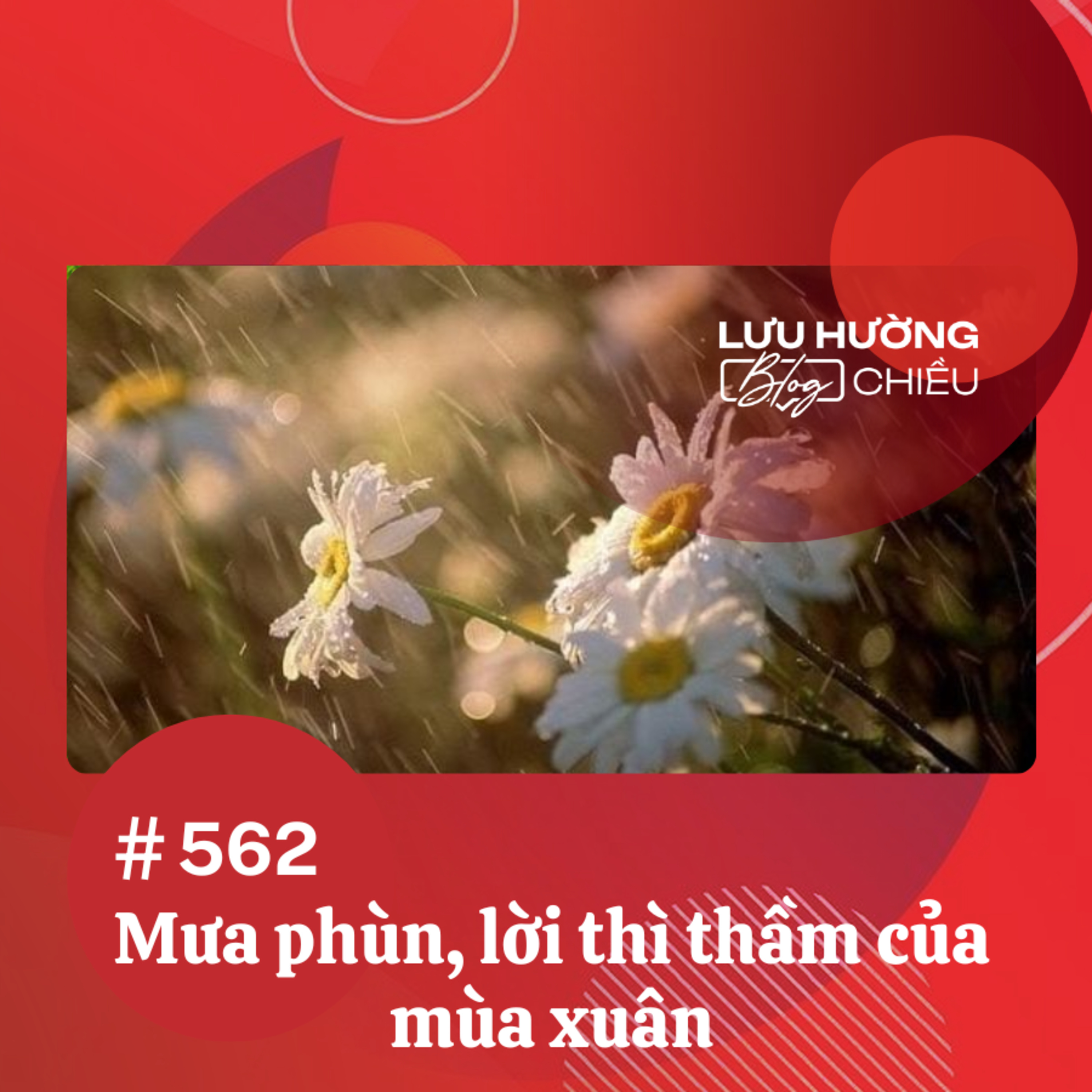 Đài Hà Nội | Lưu Hường Blog chiều | Podcast