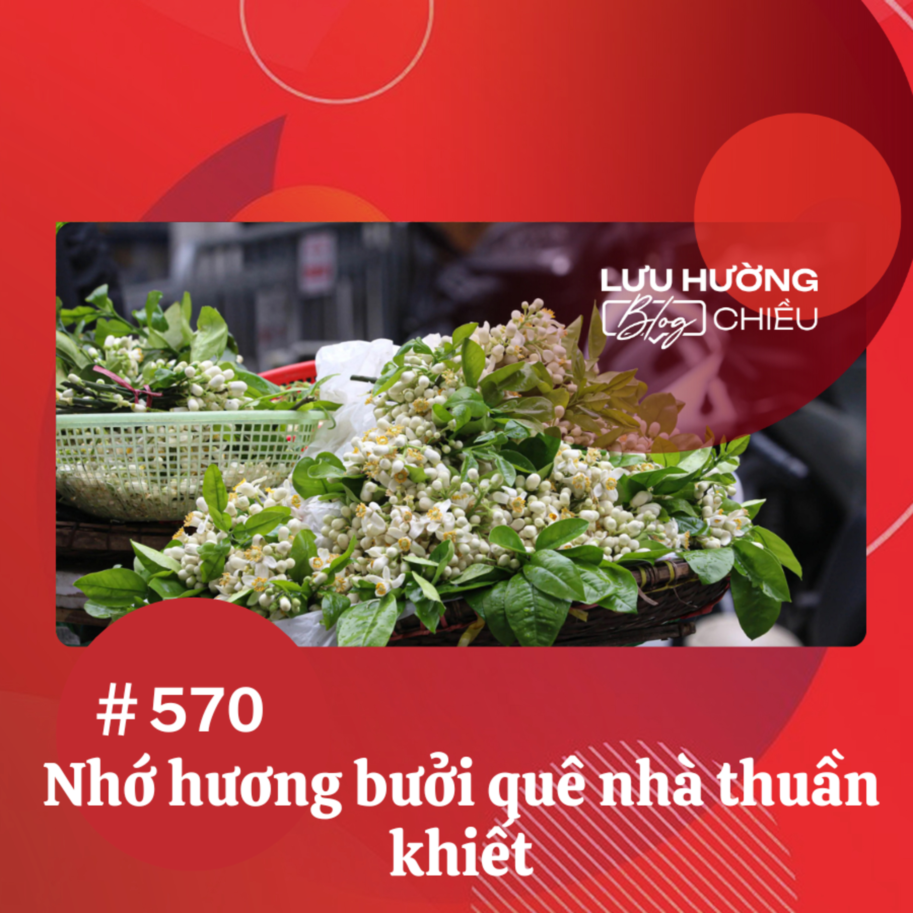 Nhớ hương bưởi quê nhà thuần khiết | Lưu Hường blog chiều | Đài Hà Nội episode artwork