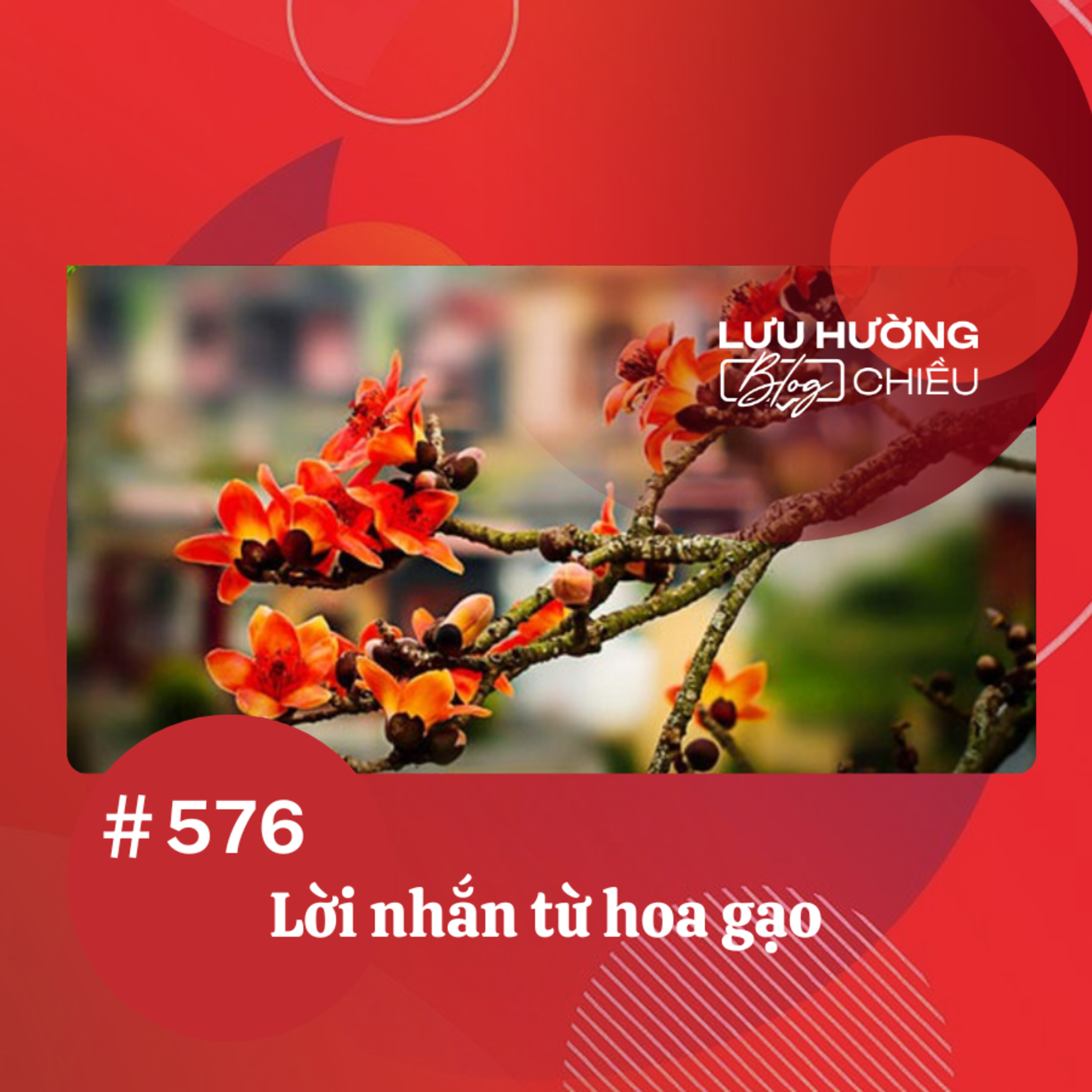 Lời nhắn từ hoa gạo | Lưu Hường blog chiều | Đài Hà Nội episode artwork