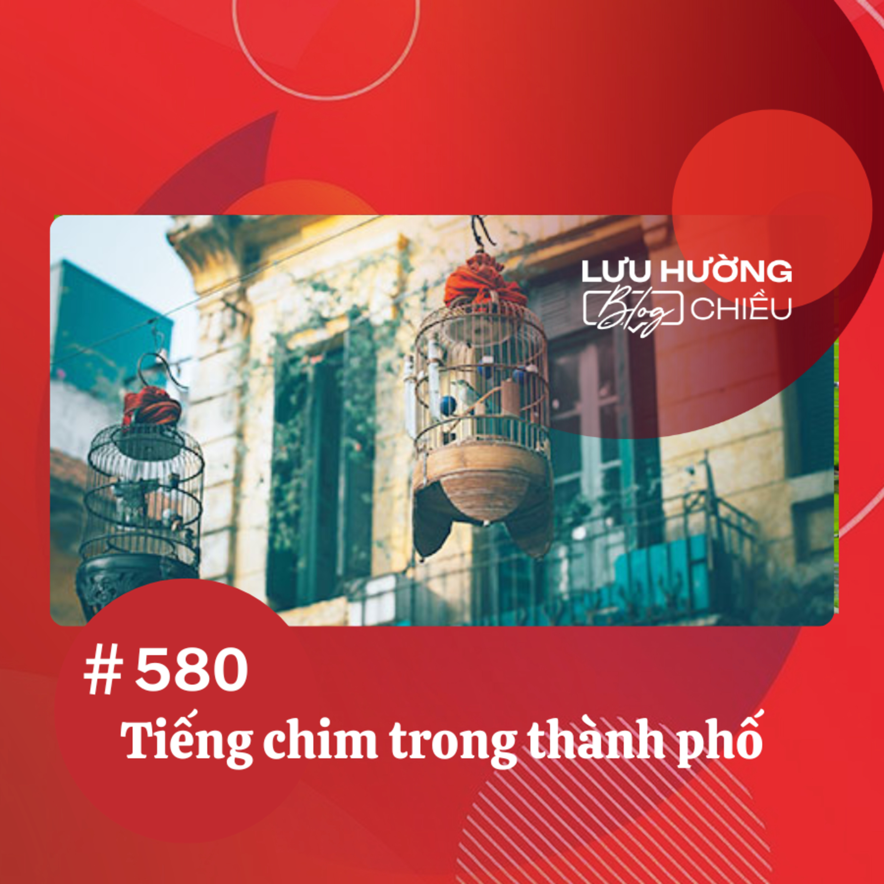Tiếng chim trong thành phố | Lưu Hường blog chiều | Đài Hà Nội episode artwork