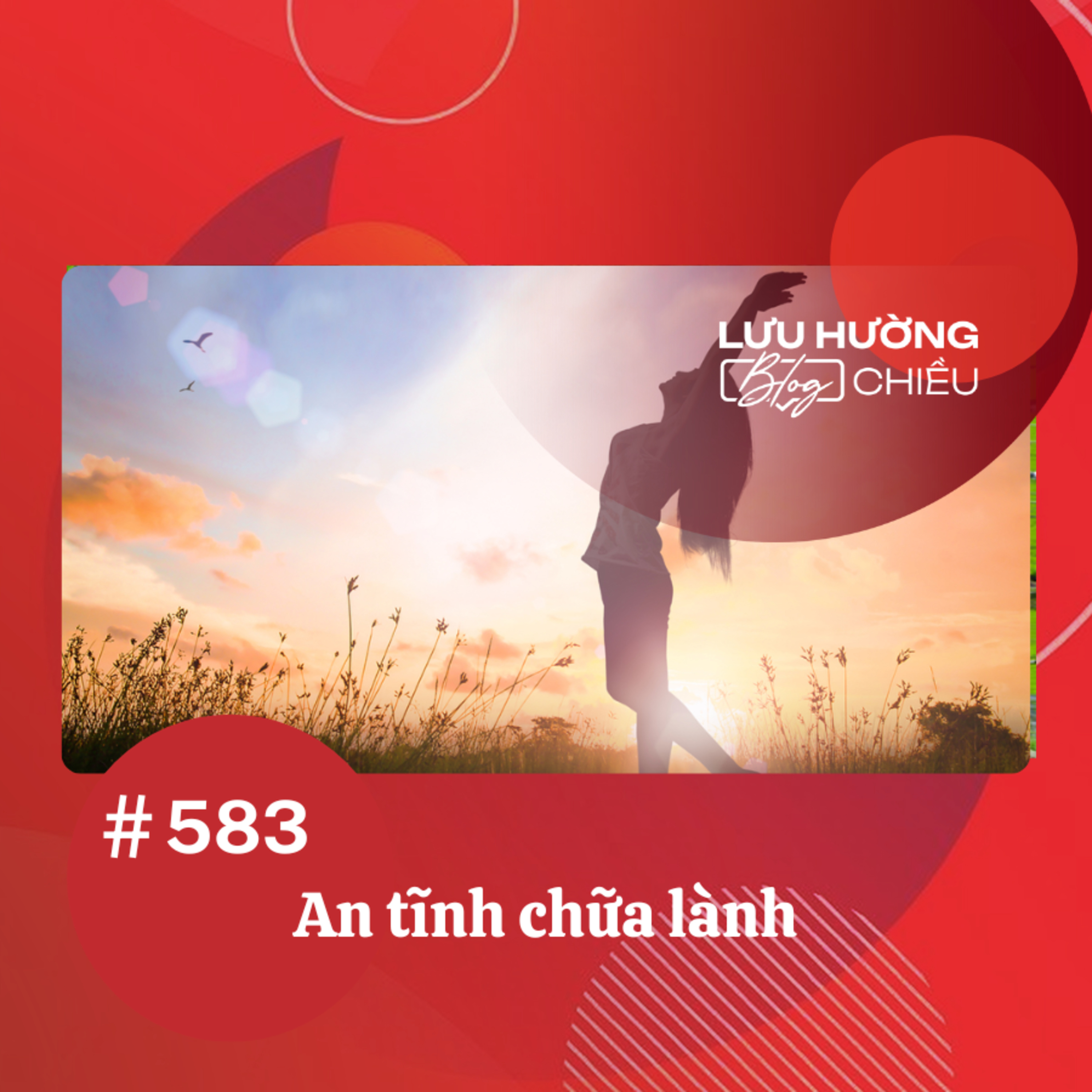 An tĩnh chữa lành | Lưu Hường blog chiều | Đài Hà Nội episode artwork