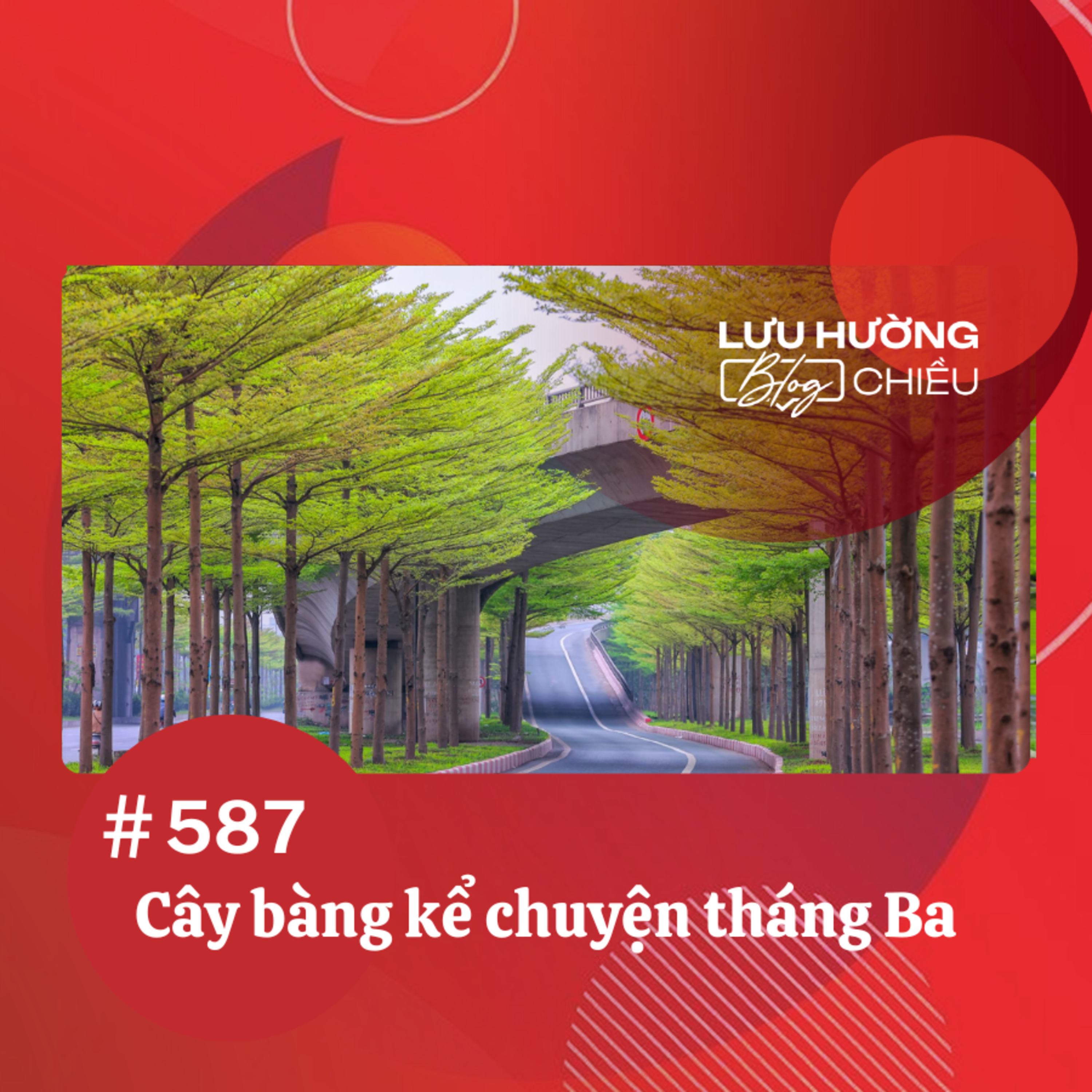 Cây bàng kể chuyện tháng Ba | Lưu Hường blog chiều | Đài Hà Nội episode artwork