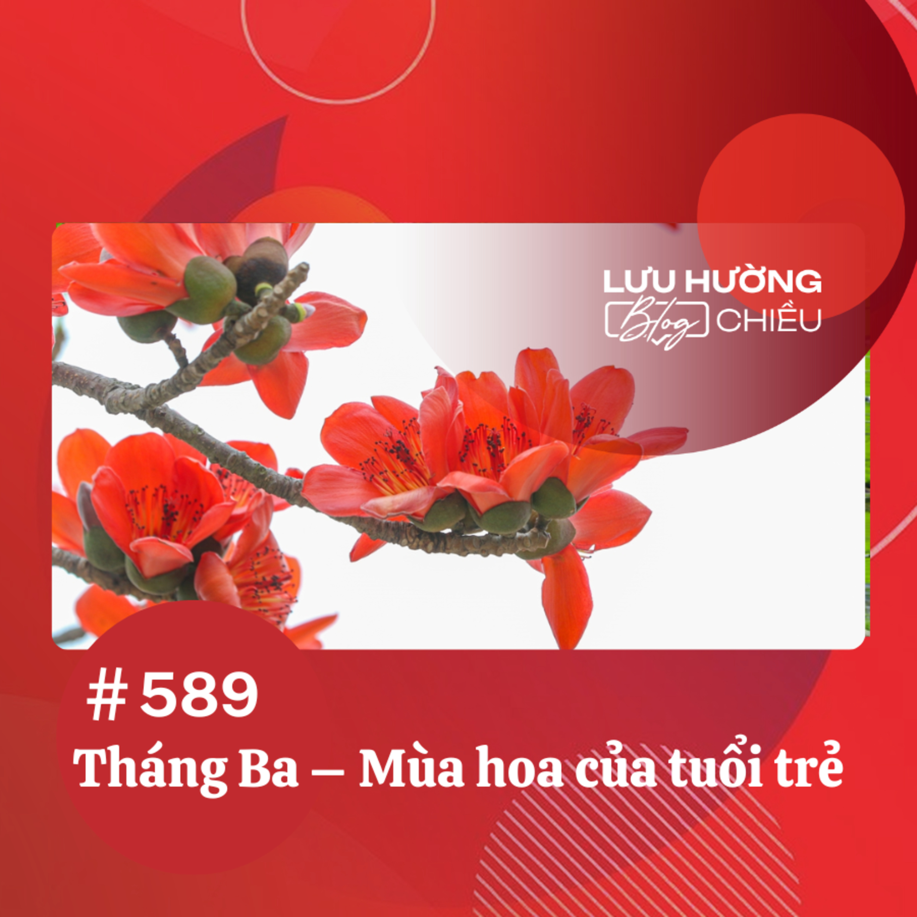  Tháng Ba - Mùa hoa của tuổi trẻ | Lưu Hường blog chiều | Đài Hà Nội episode artwork