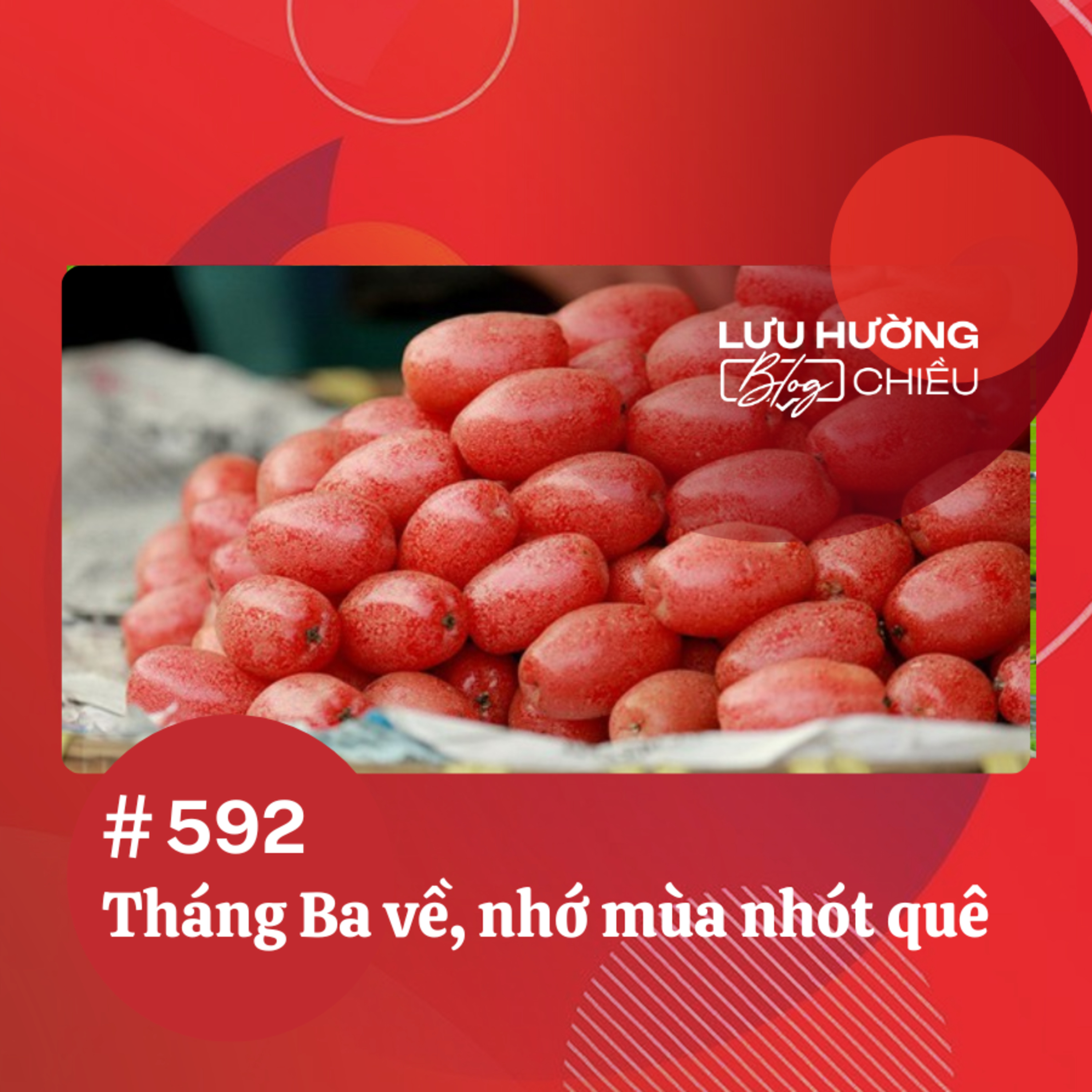 Đài Hà Nội | Lưu Hường Blog chiều | Podcast