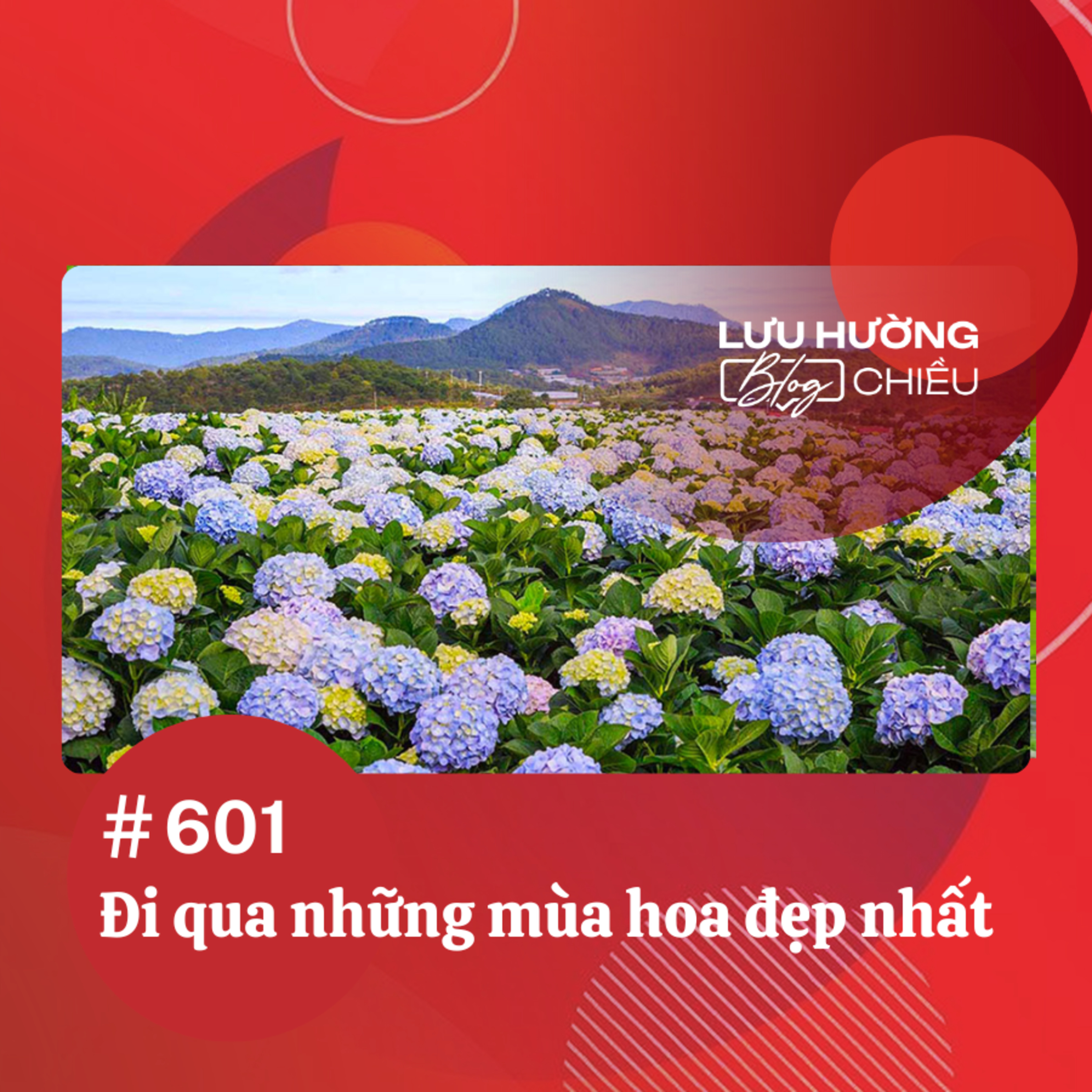 Đi qua những mùa hoa đẹp nhất | Lưu Hường blog chiều | Đài Hà Nội episode artwork