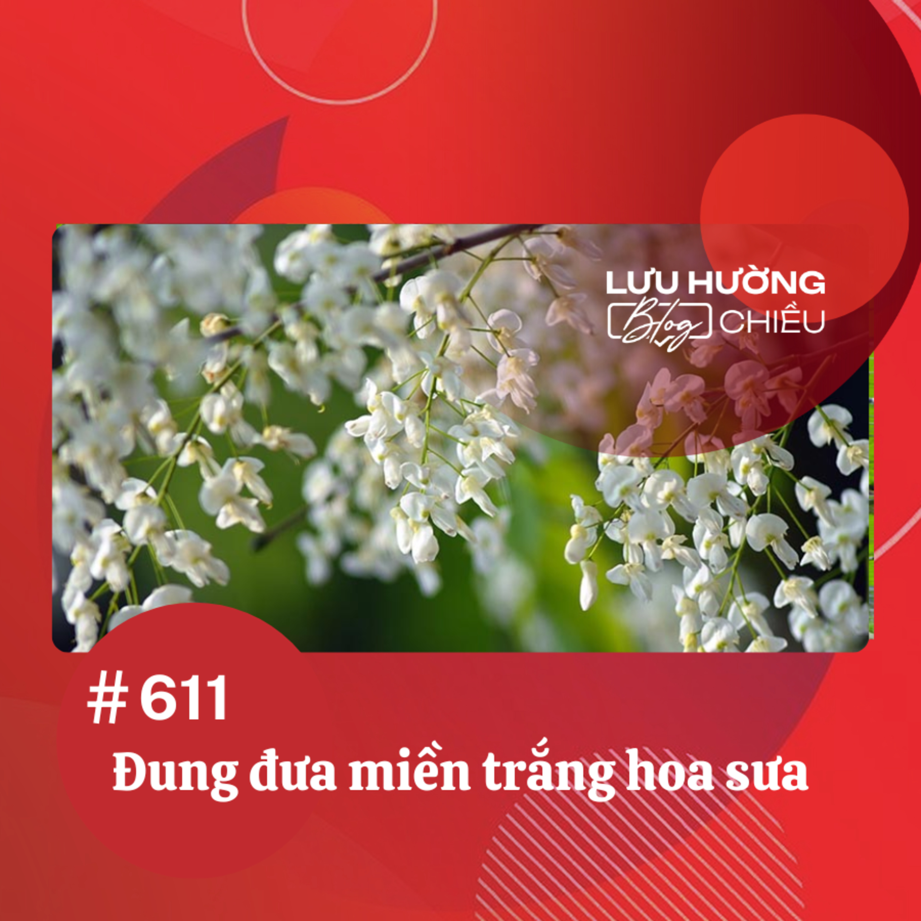 Đung đưa miền trắng hoa sưa | Lưu Hường blog chiều | Đài Hà Nội episode artwork