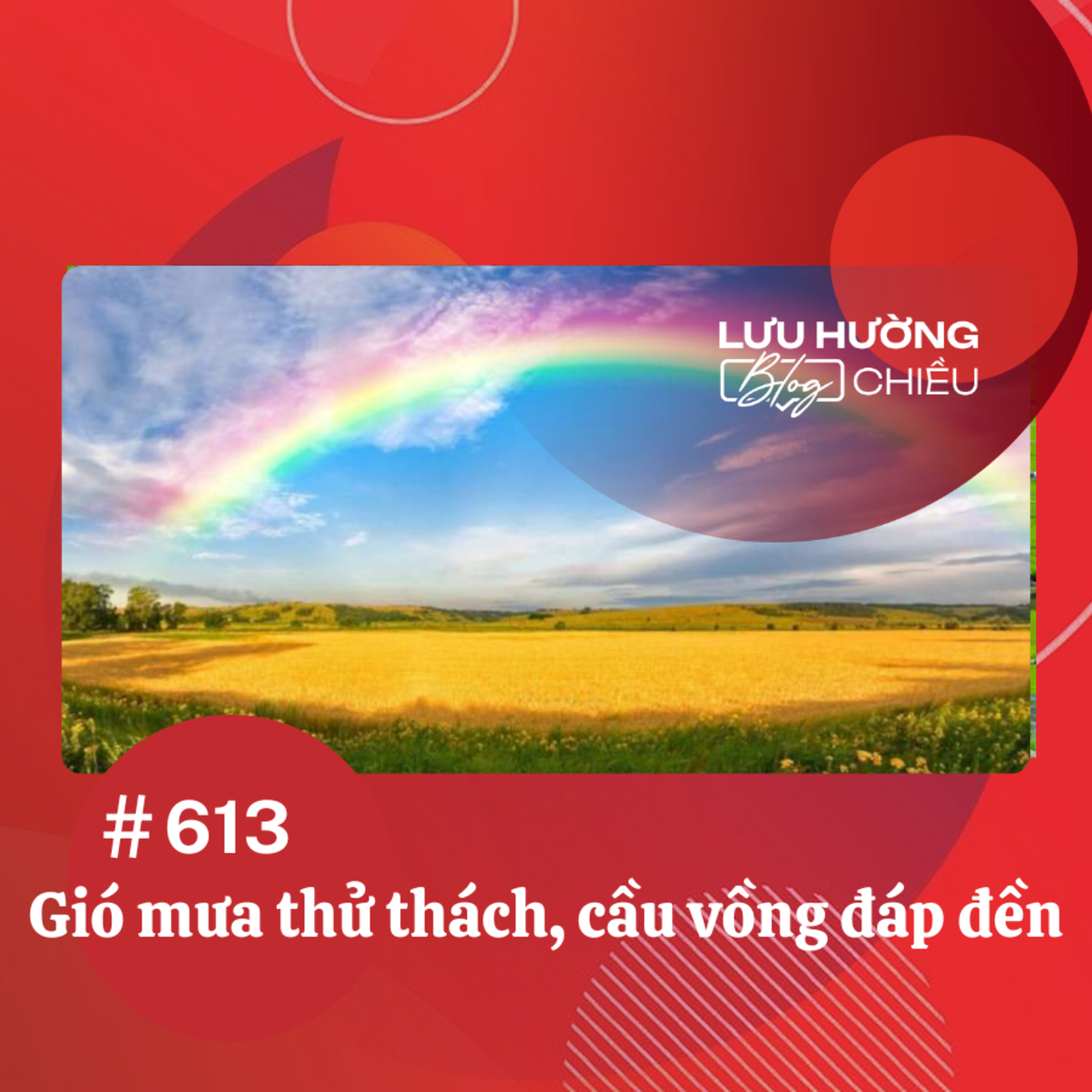 Gió mưa thử thách, cầu vồng đáp đền | Lưu Hường blog chiều | Đài Hà Nội episode artwork