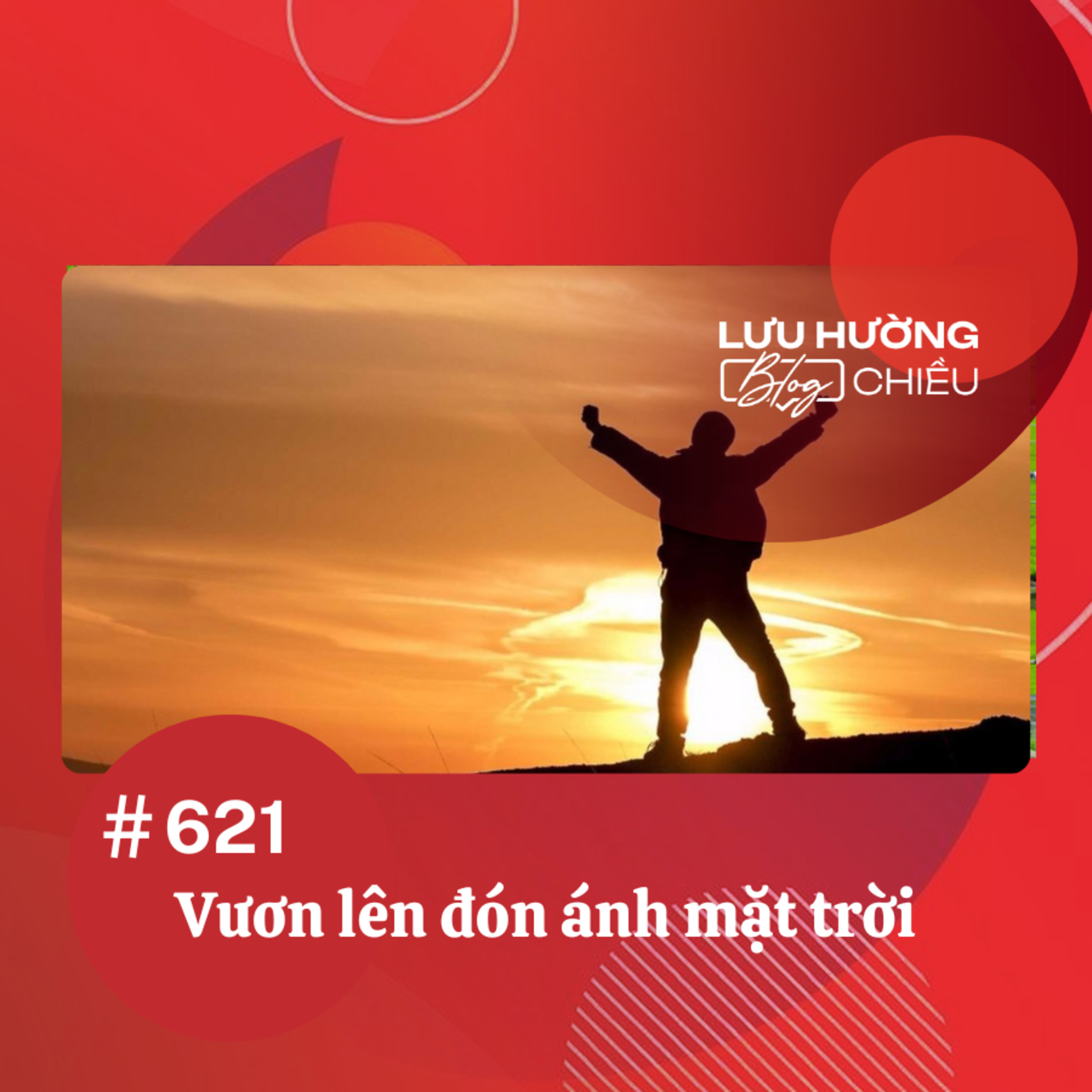 Vươn lên đón ánh mặt trời | Lưu Hường blog chiều | Đài Hà Nội episode artwork