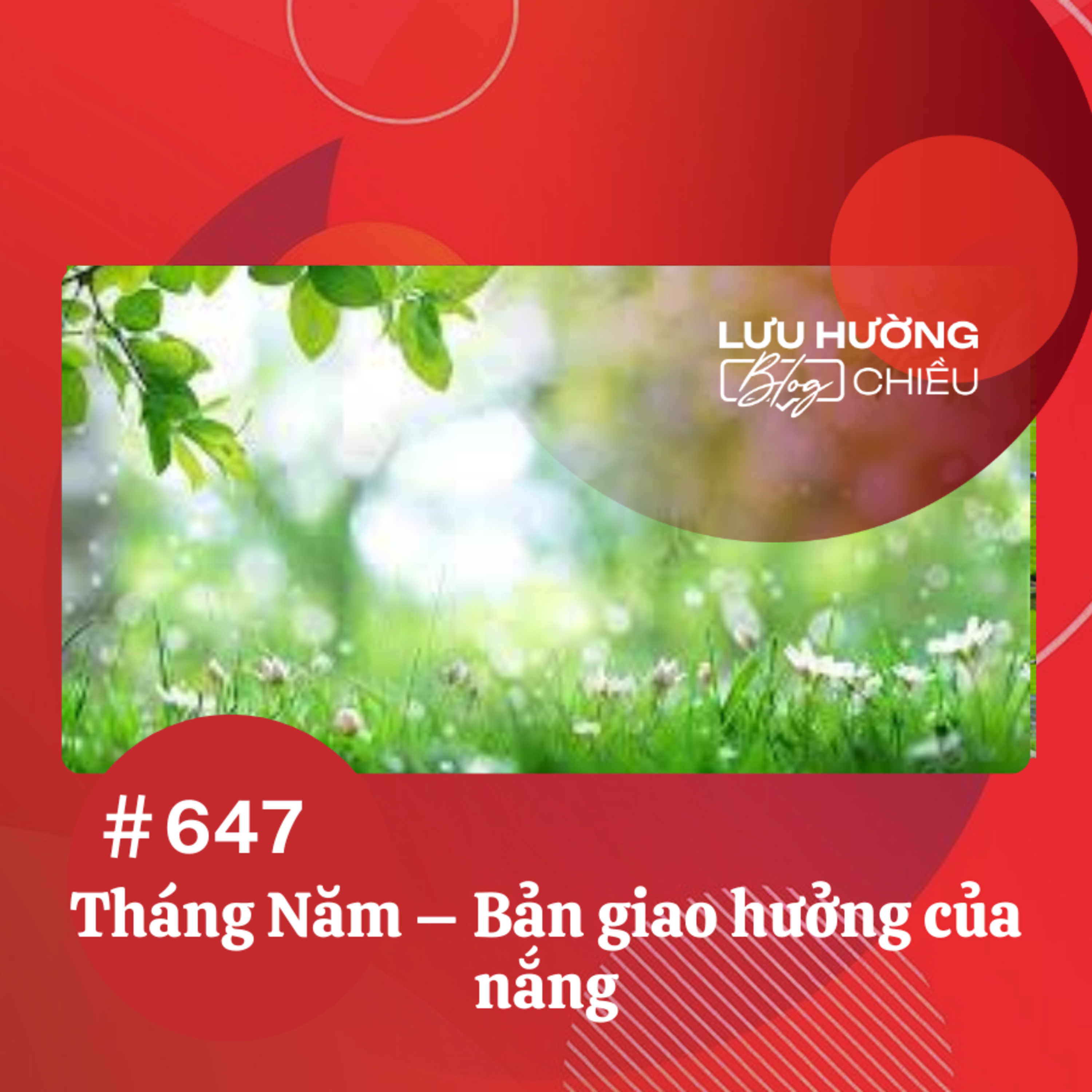 Tháng Năm – Bản giao hưởng của nắng | Lưu Hường blog chiều | Đài Hà Nội episode artwork
