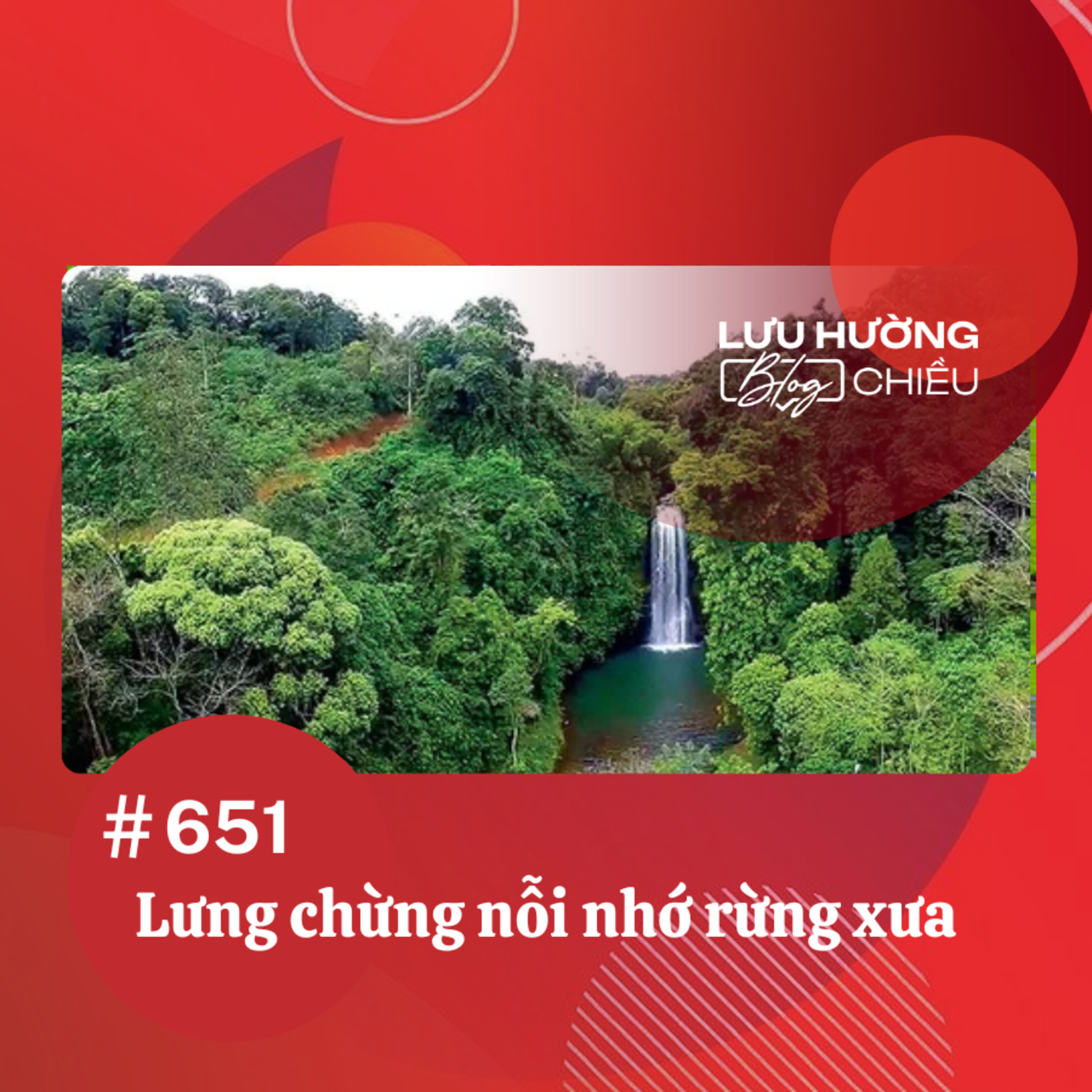 Lưng chừng nỗi nhớ rừng xưa | Lưu Hường blog chiều | Đài Hà Nội episode artwork