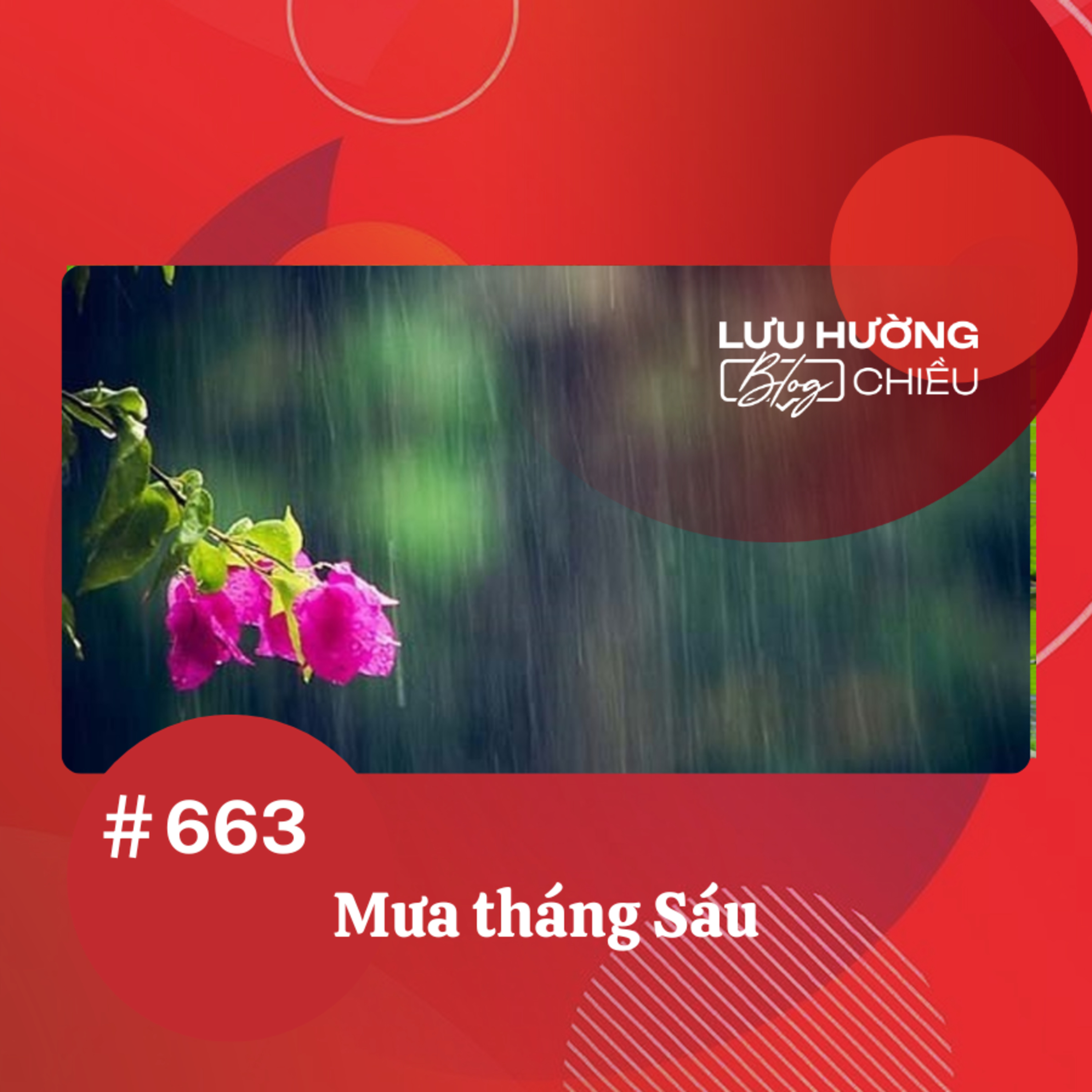 Mưa tháng Sáu | Lưu Hường blog chiều | Đài Hà Nội episode artwork