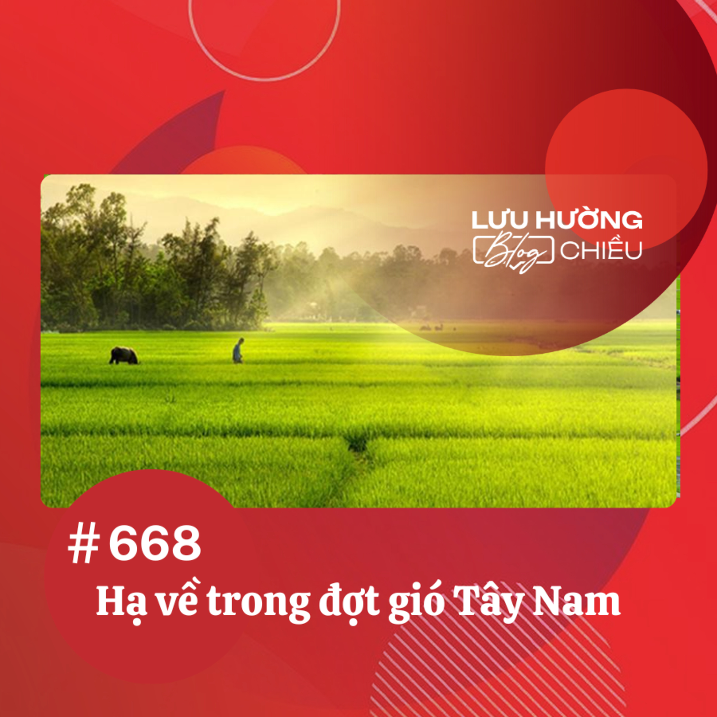 Hạ về trong đợt gió Tây Nam | Lưu Hường blog chiều | Đài Hà Nội episode artwork